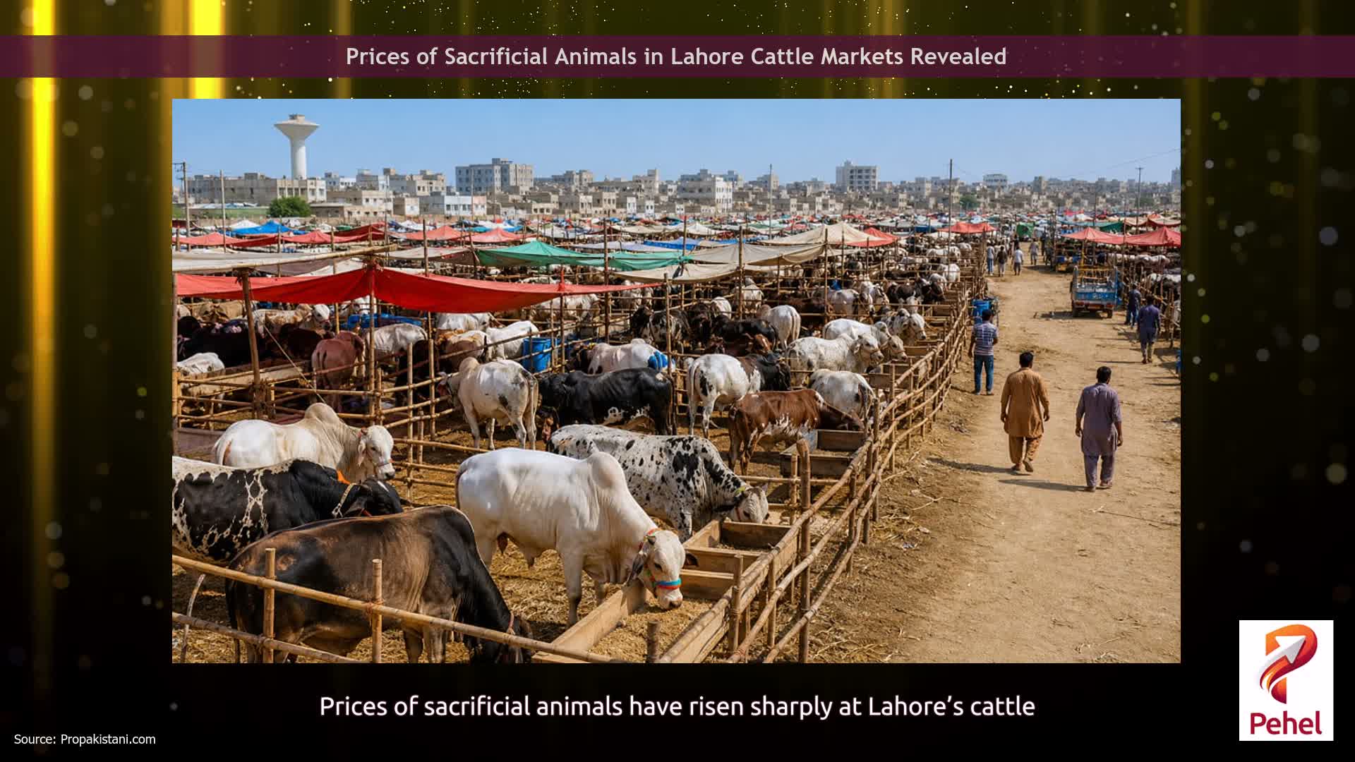 Prices of Sacrificial Animals in Lahore Cattle Markets Revealed