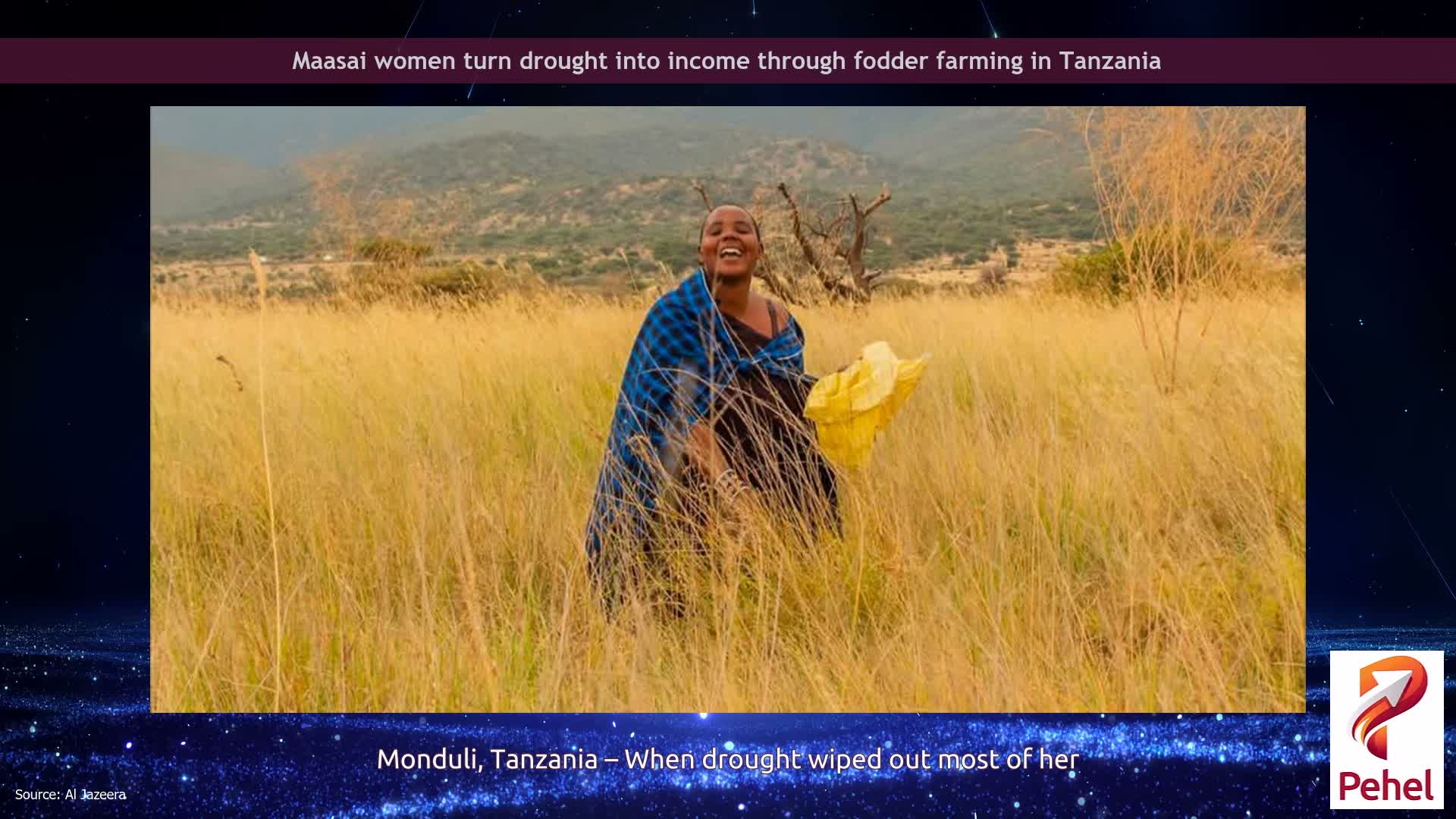 Maasai women turn drought into income through fodder farming in Tanzania