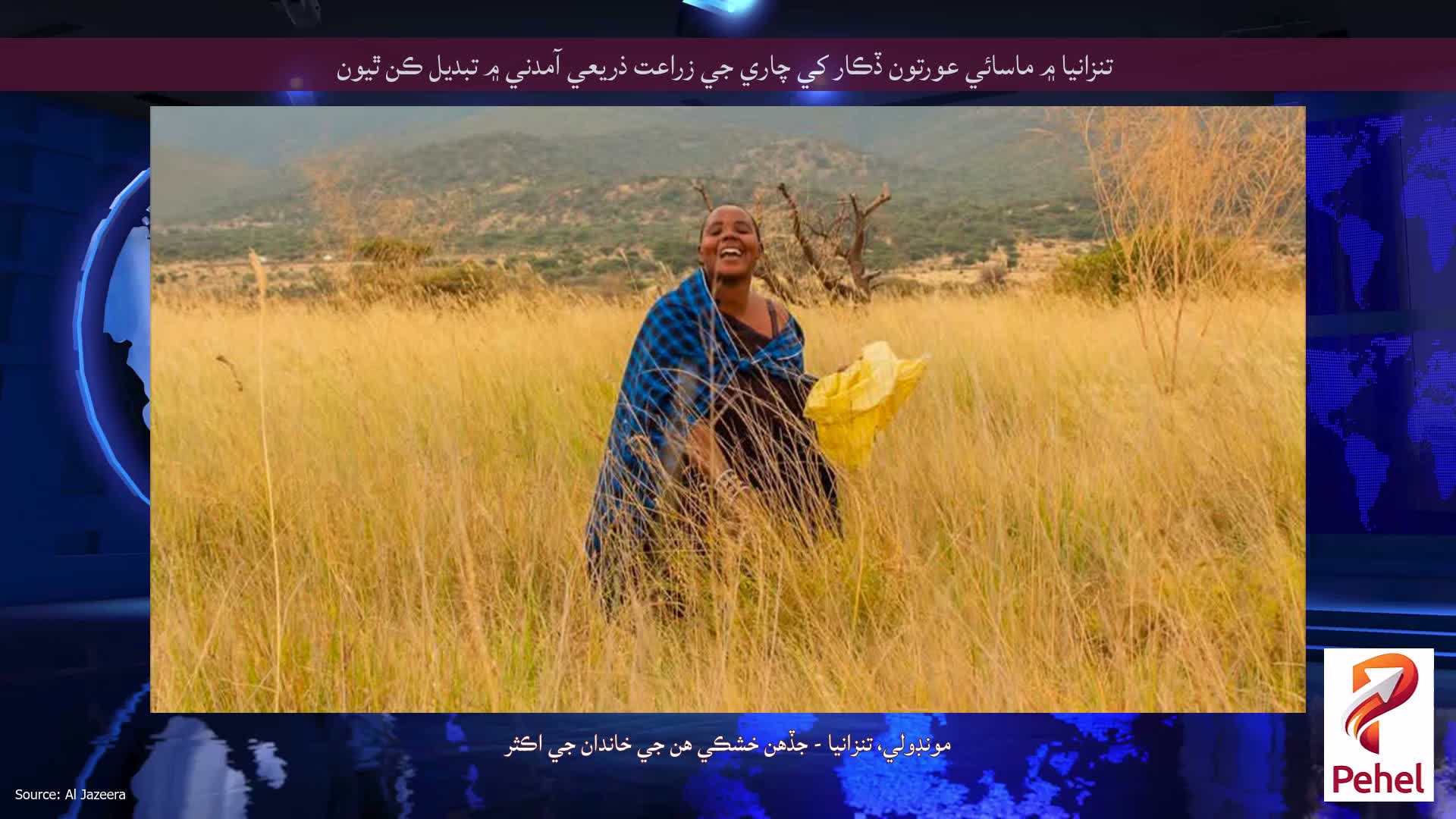 تنزانيا ۾ ماسائي عورتون ڏڪار کي چاري جي زراعت ذريعي آمدني ۾ تبديل ڪن ٿيون