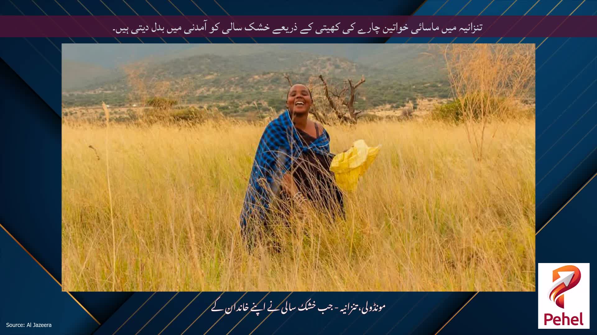 تنزانیہ میں ماسائی خواتین چارے کی کھیتی کے ذریعے خشک سالی کو آمدنی میں بدل دیتی ہیں۔