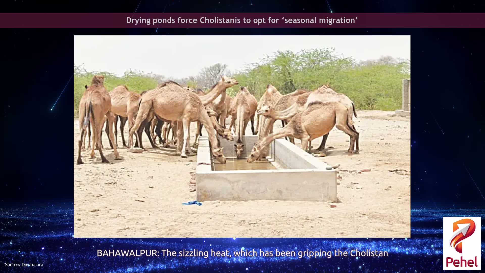 Drying ponds force Cholistanis to opt for ‘seasonal migration’