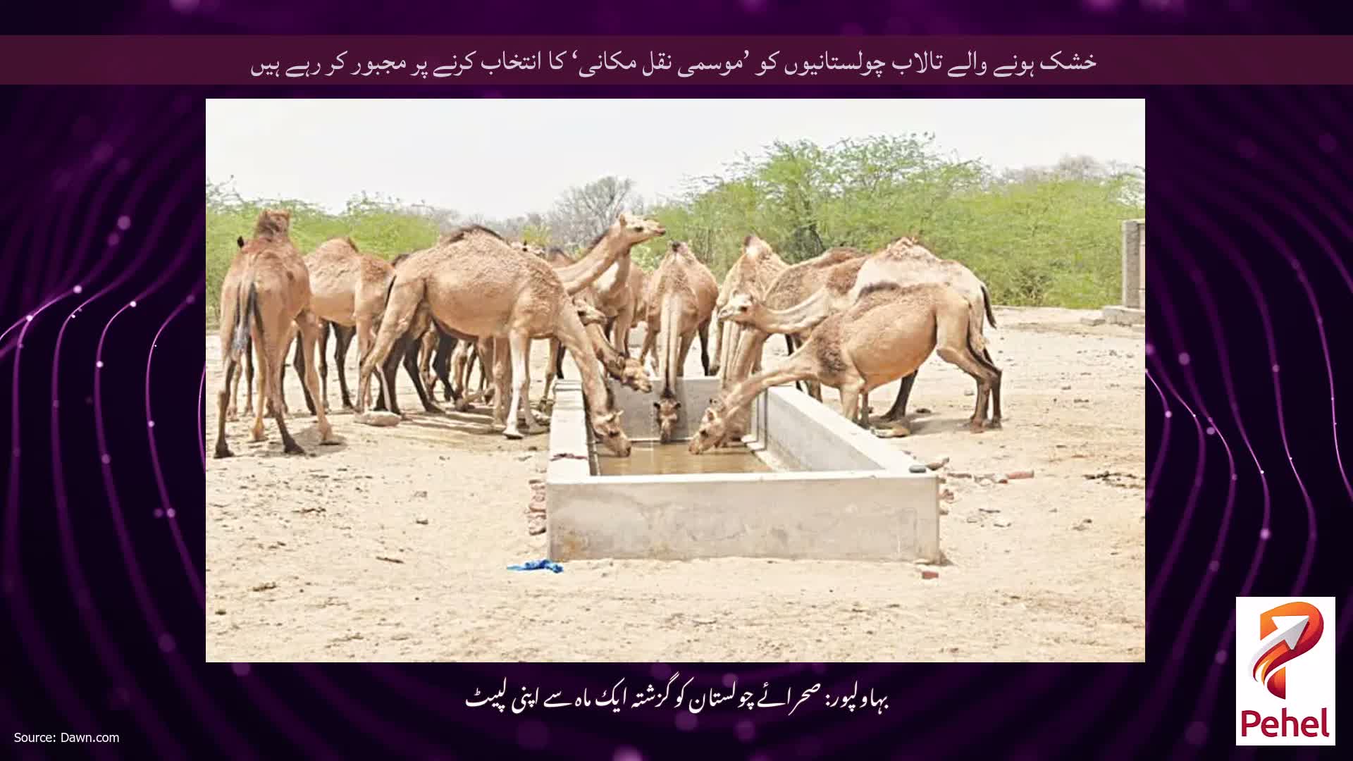 خشک ہونے والے تالاب چولستانیوں کو ’موسمی نقل مکانی‘ کا انتخاب کرنے پر مجبور کر رہے ہیں