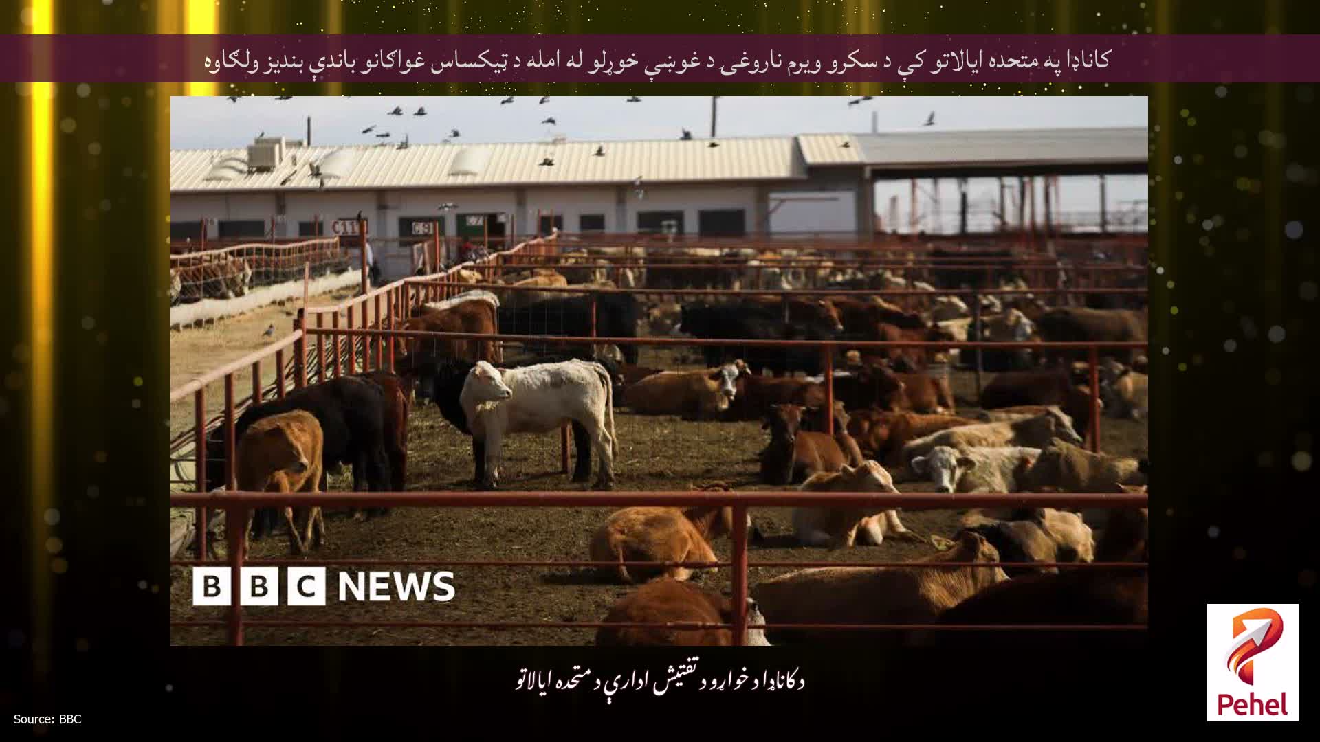 کاناډا په متحده ایالاتو کې د سکرو ویرم ناروغۍ د غوښې خوړلو له امله د ټیکساس غواګانو باندې بندیز ولګاوه