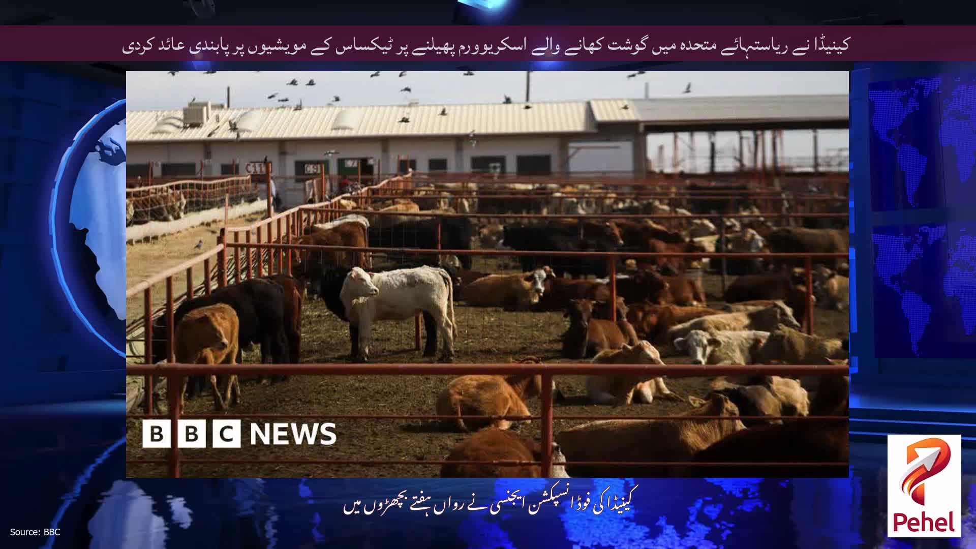 کینیڈا نے ریاستہائے متحدہ میں گوشت کھانے والے اسکریوورم پھیلنے پر ٹیکساس کے مویشیوں پر پابندی عائد کردی