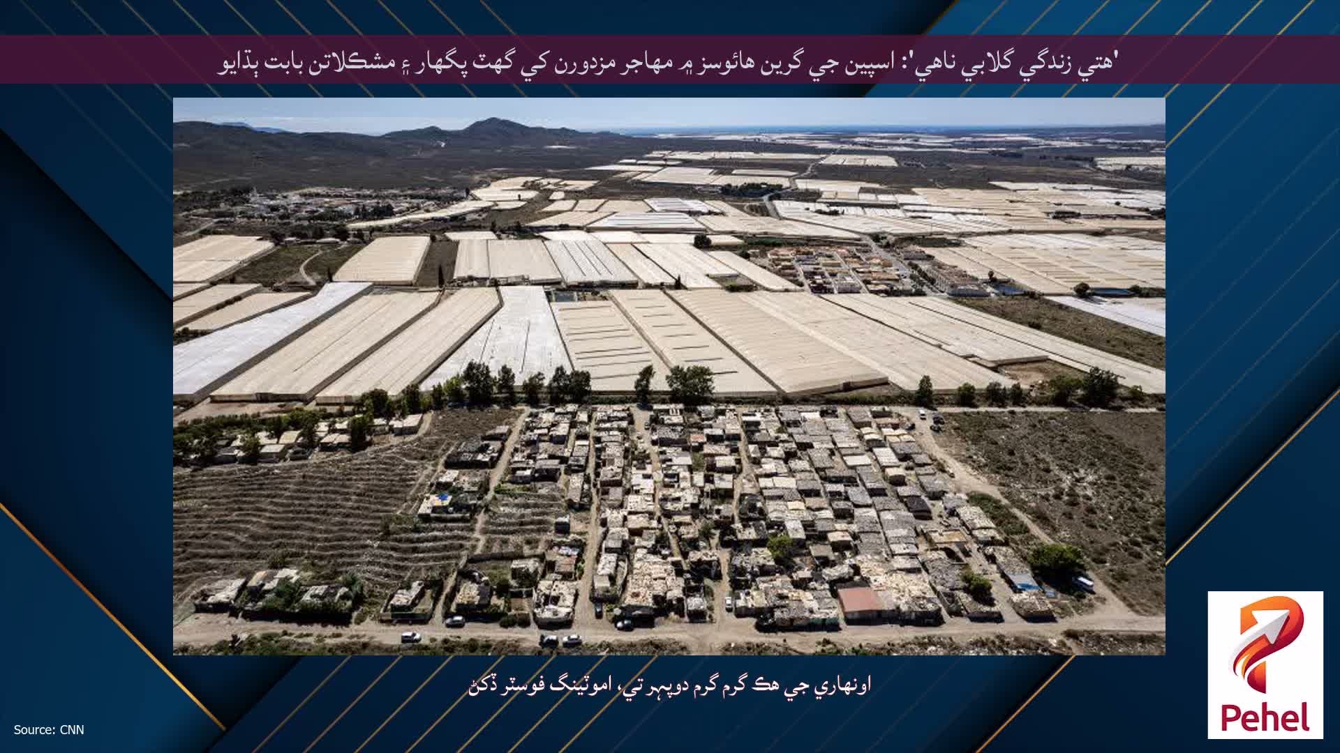 'هتي زندگي گلابي ناهي': اسپين جي گرين هائوسز ۾ مهاجر مزدورن کي گهٽ پگهار ۽ مشڪلاتن بابت ٻڌايو