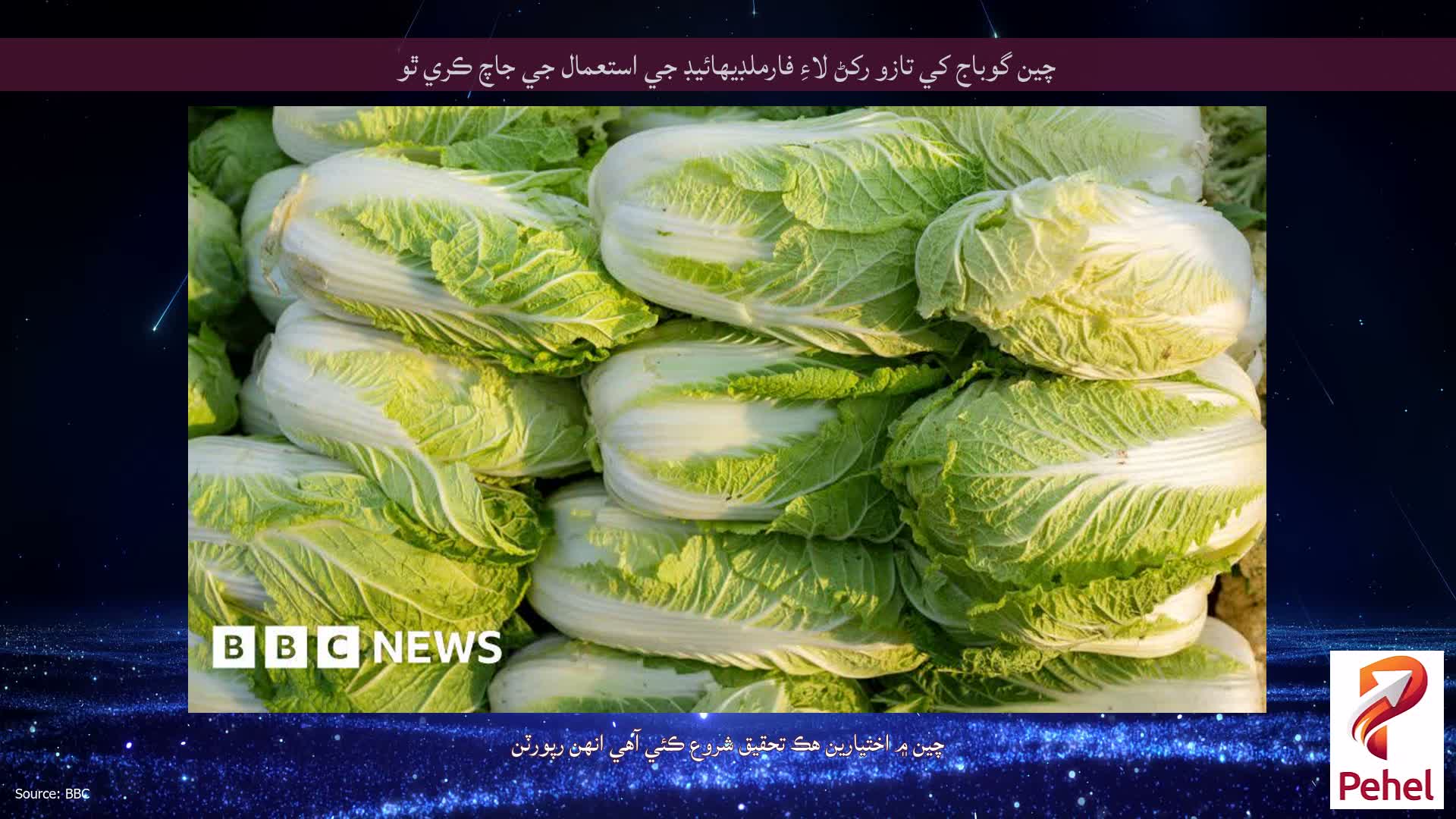 چين گوباج کي تازو رکڻ لاءِ فارملڊيهائيڊ جي استعمال جي جاچ ڪري ٿو