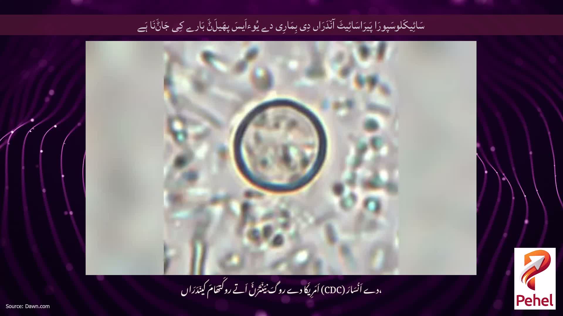 سَائِیکَلوسَپورَا پَیرَاسَائِیٹَ آن٘دَرَاں دِی بِمَارِی دے یُوءاَیسَ پھَیلَݨَ بَارے کِی جَاݨَنَا ہَے