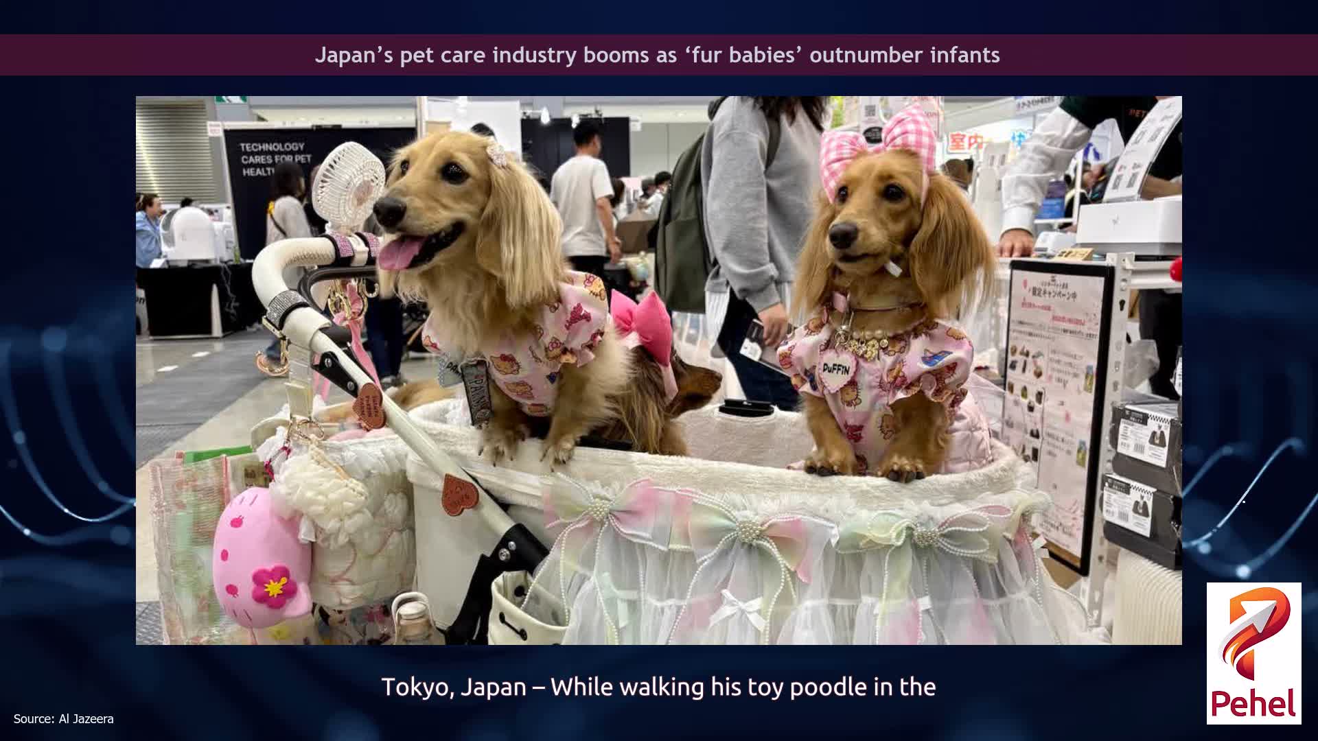 Japan’s pet care industry booms as ‘fur babies’ outnumber infants