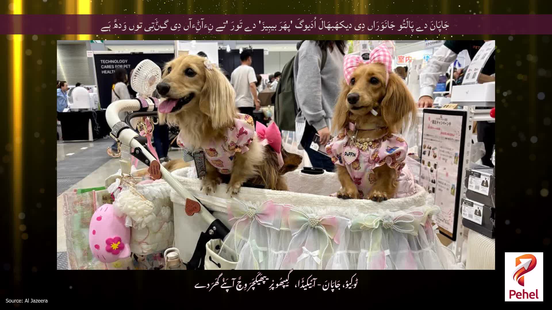 جَاپَانَ دے پَالَتُو جَانَوَرَاں دِی دیکھَبھَالَ اُدَیوگَ 'پھَرَ بیبِیزَ' دے تَورَ 'تے نِءآݨِءآں دِی گِݨَتِی توں وَدھَّ ہَے