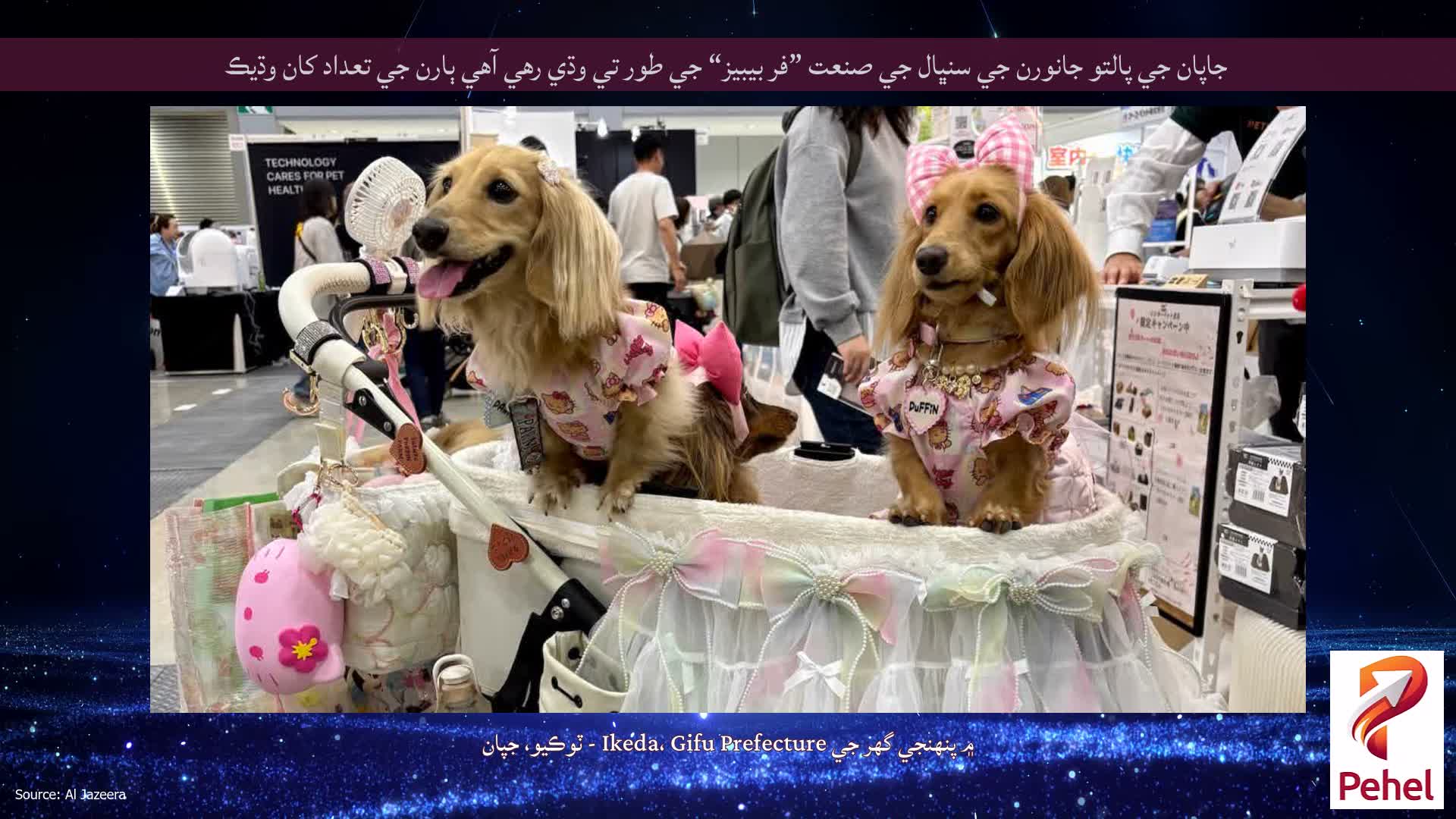 جاپان جي پالتو جانورن جي سنڀال جي صنعت ”فر بيبيز“ جي طور تي وڌي رهي آهي ٻارن جي تعداد کان وڌيڪ