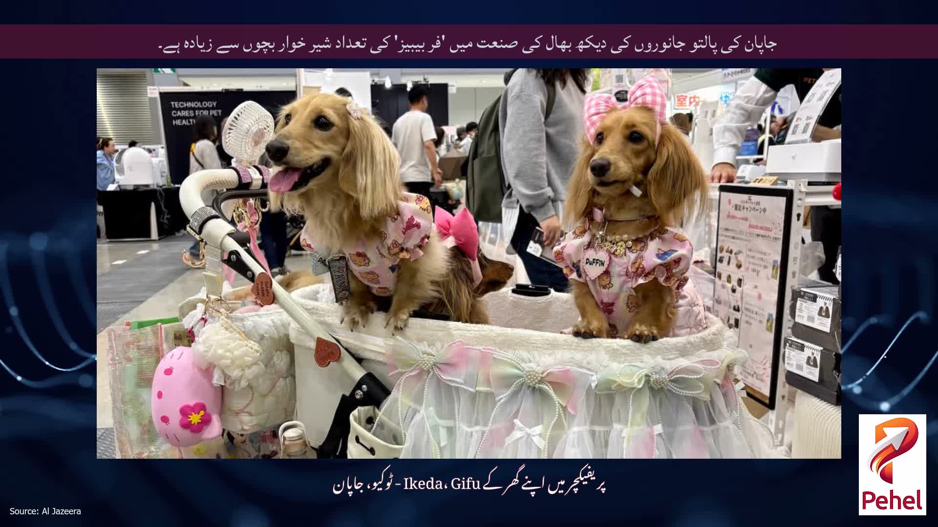 جاپان کی پالتو جانوروں کی دیکھ بھال کی صنعت میں 'فر بیبیز' کی تعداد شیر خوار بچوں سے زیادہ ہے۔