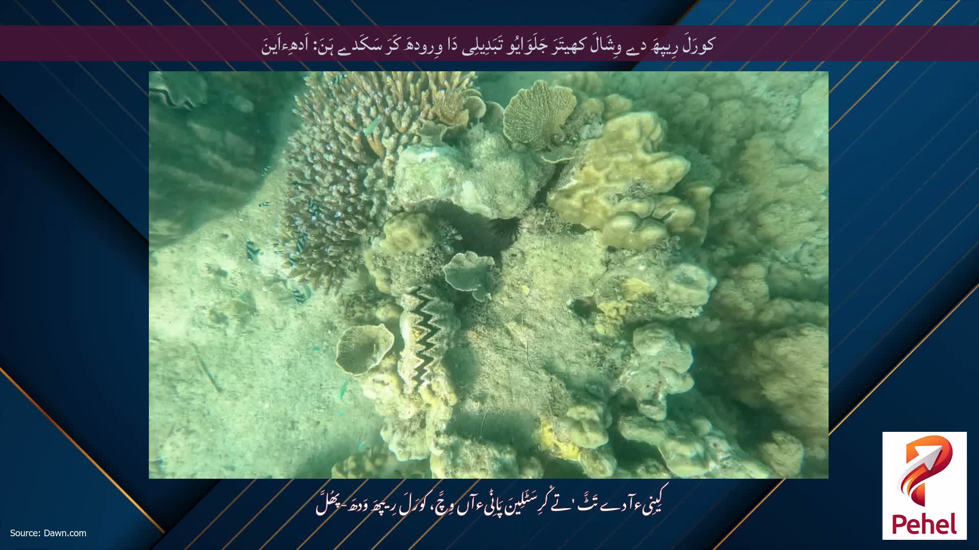 کورَلَ رِیپھَ دے وِشَالَ کھیتَرَ جَلَوَایُو تَبَدِیلِی دَا وِرودھَ کَرَ سَکَدے ہَنَ: اَدھِءاَینَ