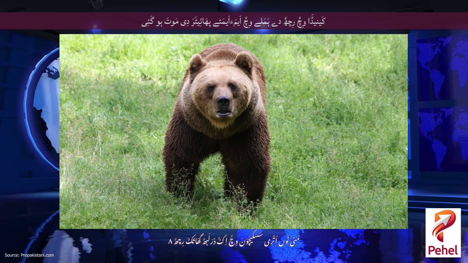 کَینیڈَا وِچَّ رِچھَّ دے ہَمَلے وِچَّ اَیمَءاَیمَئے پھَائِیٹَرَ دِی مَوتَ ہو گَئِی