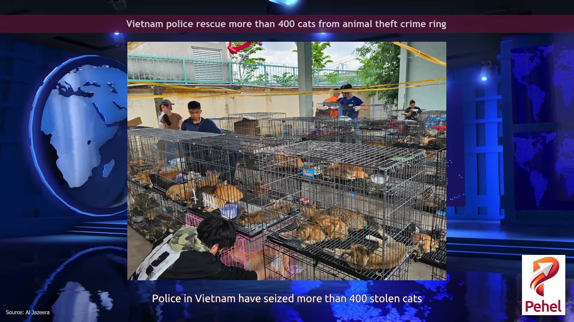 Vietnam police rescue more than 400 cats from animal theft crime ring