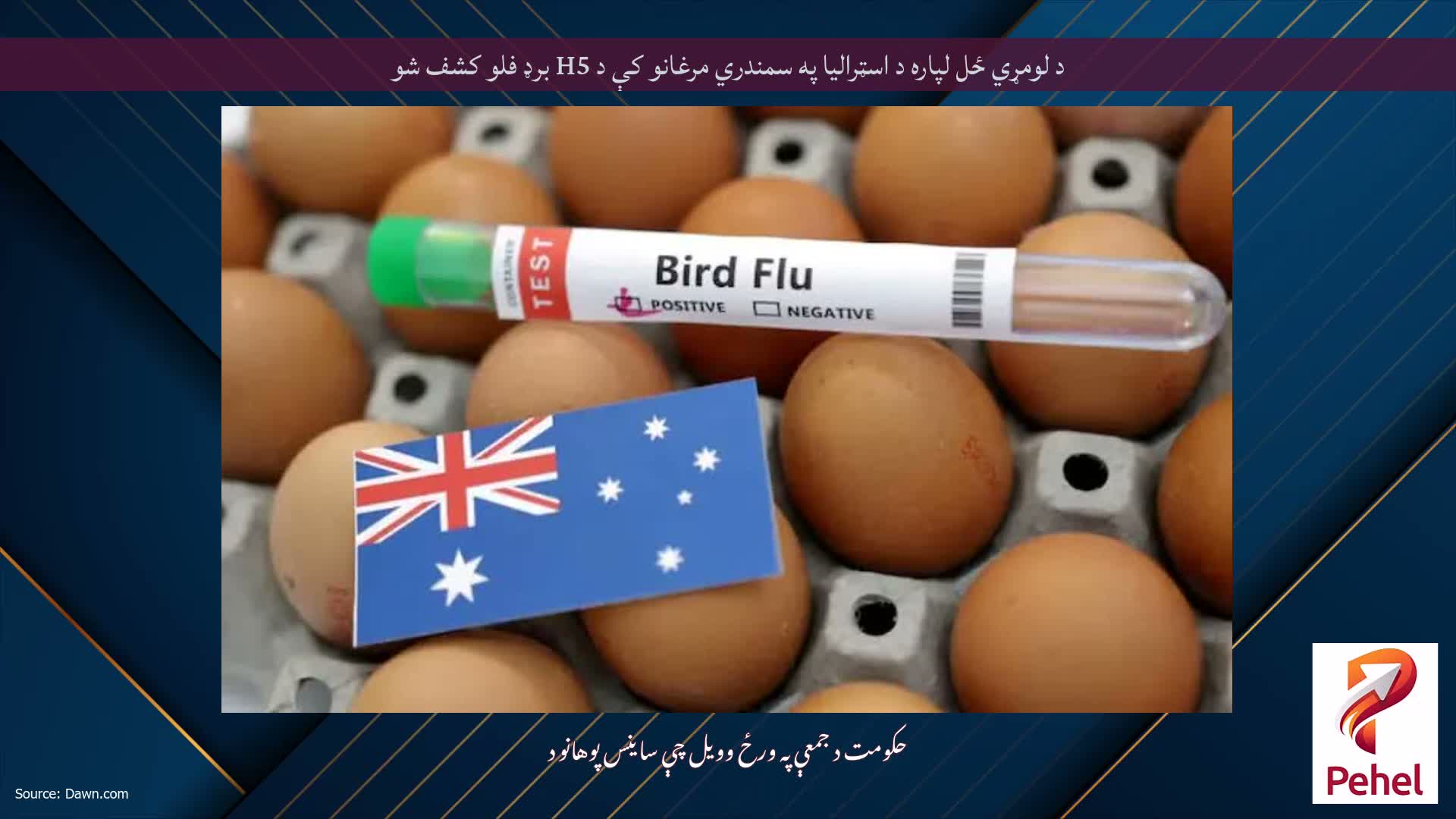 د لومړي ځل لپاره د اسټرالیا په سمندري مرغانو کې د H5 برډ فلو کشف شو