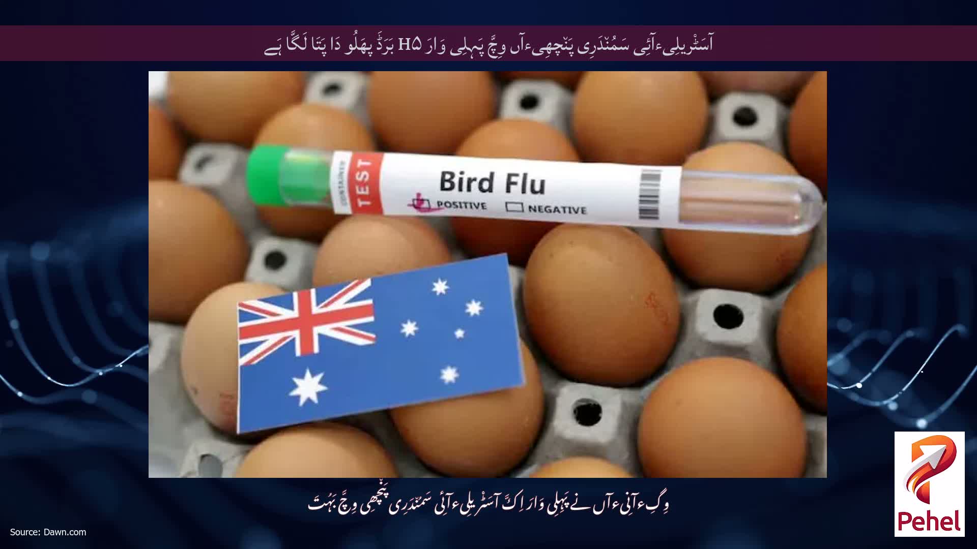 آسَٹْریلِیءآئِی سَمُن٘دَرِی پَن٘چھِیءآں وِچَّ پَہِلِی وَارَ H۵ بَرَڈَ پھَلُو دَا پَتَا لَگَّا ہَے