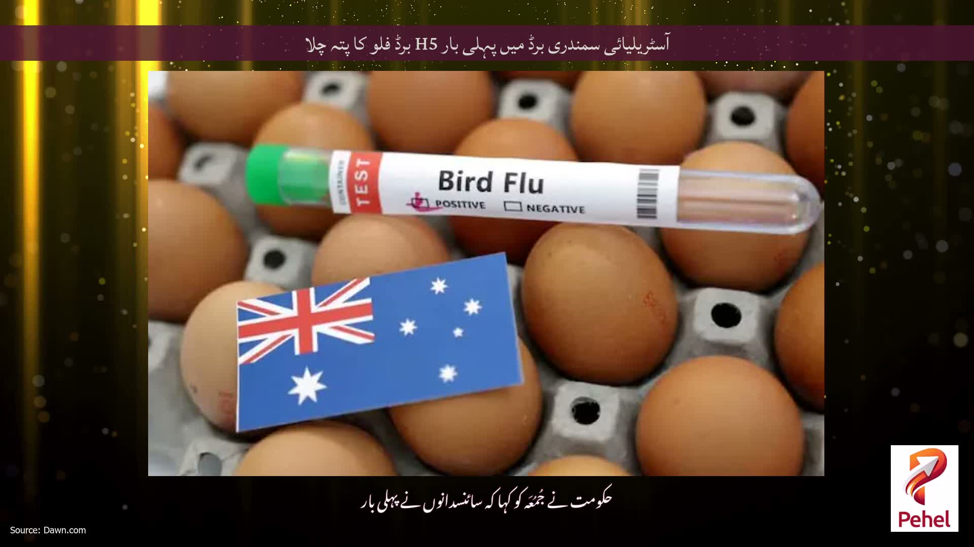 آسٹریلیائی سمندری برڈ میں پہلی بار H5 برڈ فلو کا پتہ چلا
