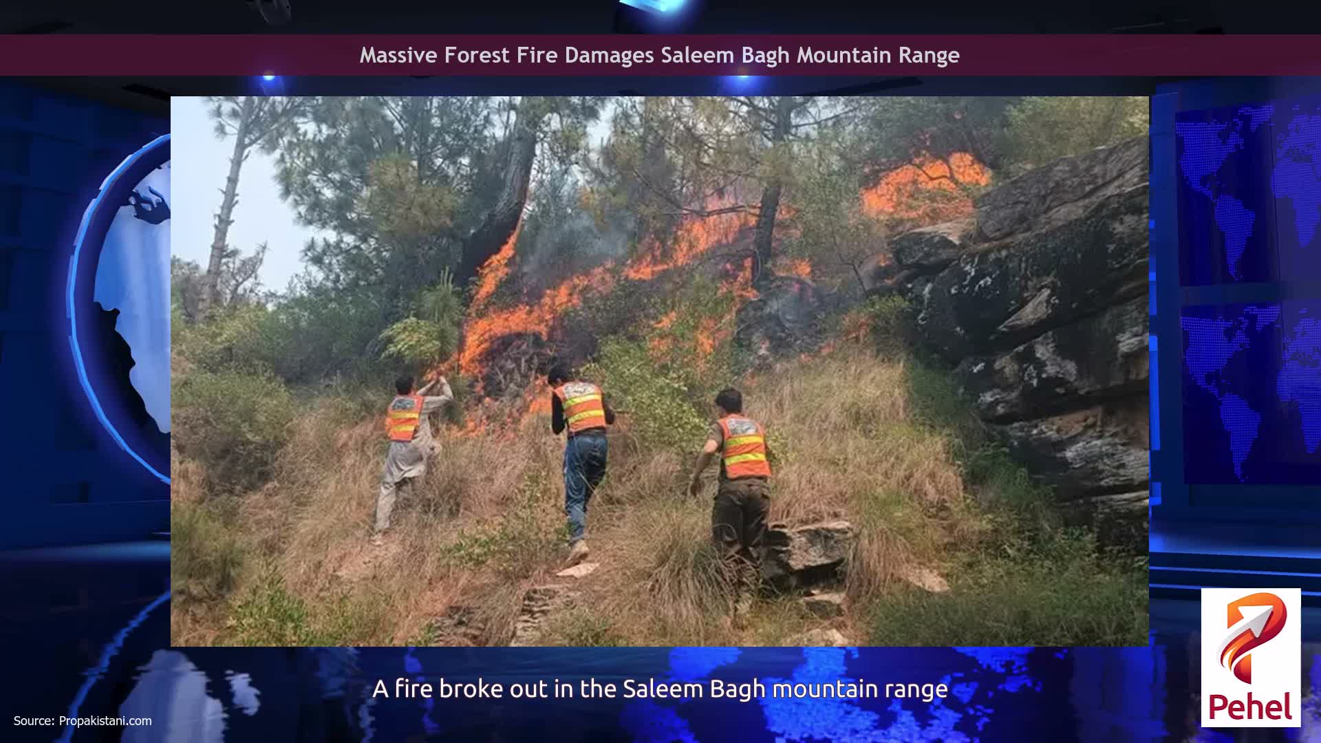 Massive Forest Fire Damages Saleem Bagh Mountain Range
