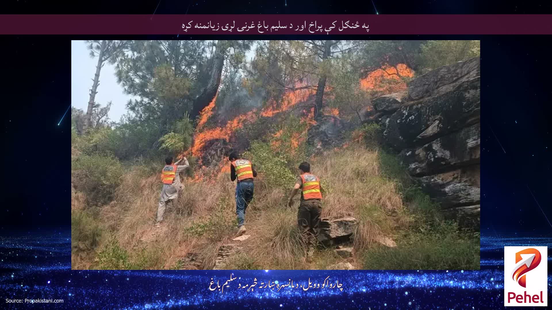 په ځنګل کې پراخ اور د سلیم باغ غرنۍ لړۍ زیانمنه کړه