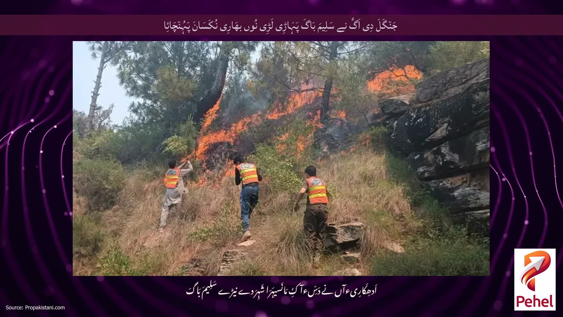 جَن٘گَلَ دِی اَگَّ نے سَلِیمَ بَاگَ پَہَاڑِی لَڑِی نُوں بھَارِی نُکَسَانَ پَہُن٘چَائِا