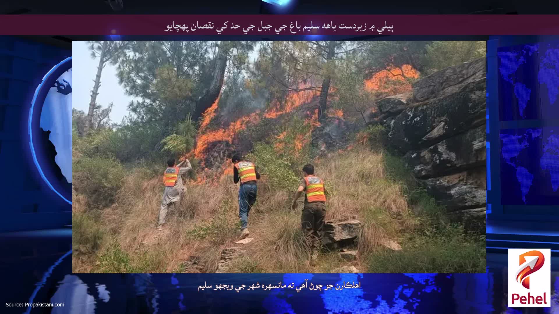 ٻيلي ۾ زبردست باهه سليم باغ جي جبل جي حد کي نقصان پهچايو