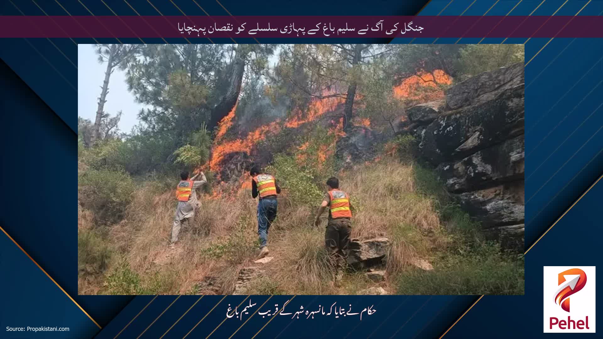 جنگل کی آگ نے سلیم باغ کے پہاڑی سلسلے کو نقصان پہنچایا