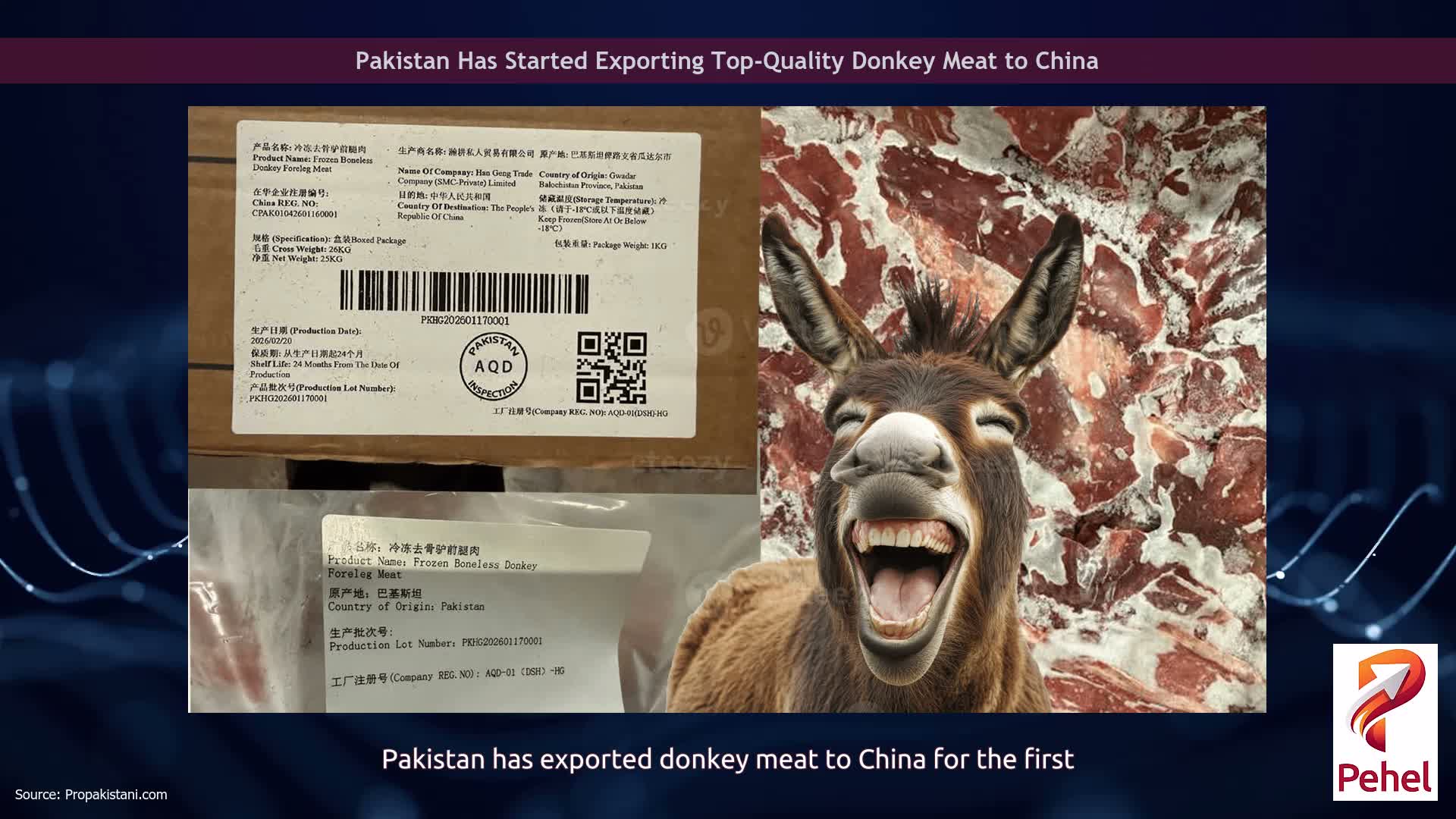 Pakistan Has Started Exporting Top-Quality Donkey Meat to China