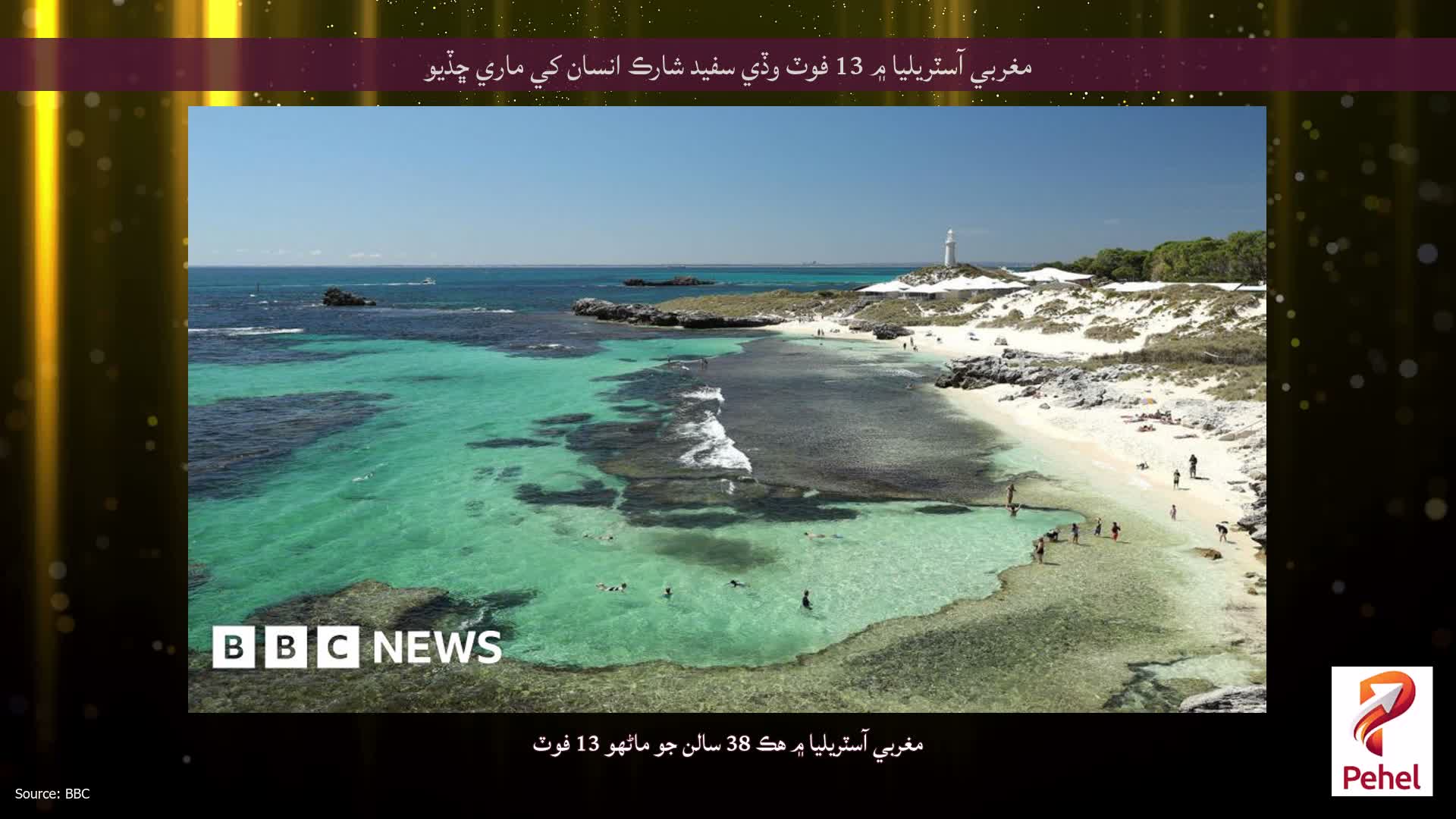 مغربي آسٽريليا ۾ 13 فوٽ وڏي سفيد شارڪ انسان کي ماري ڇڏيو