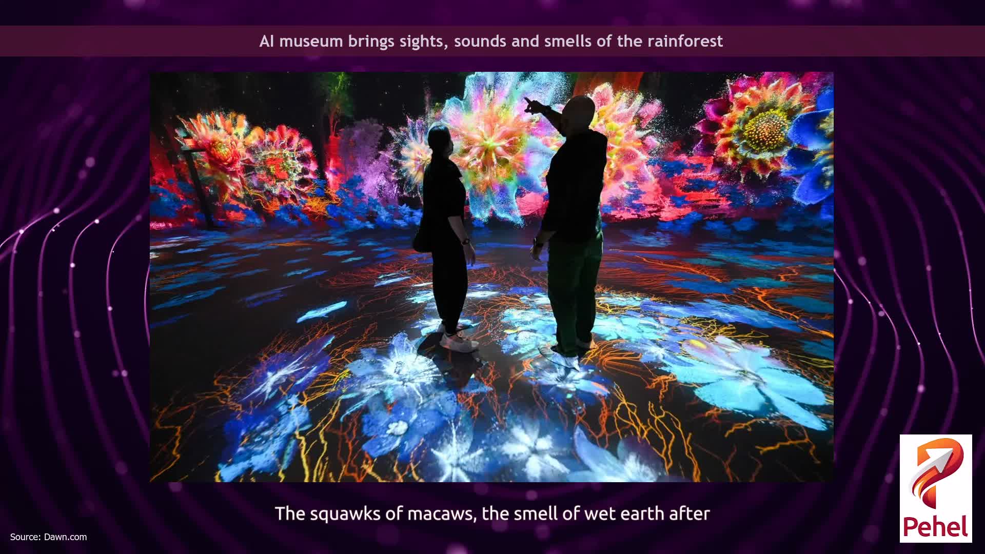 AI museum brings sights, sounds and smells of the rainforest