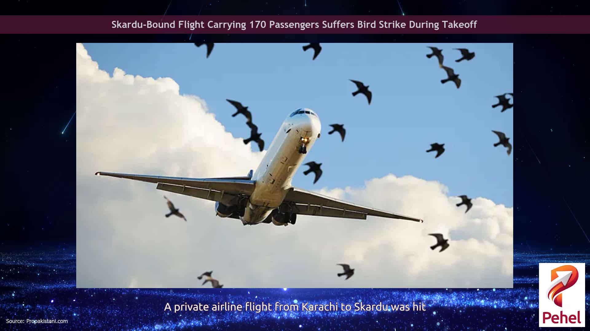 Skardu-Bound Flight Carrying 170 Passengers Suffers Bird Strike During Takeoff