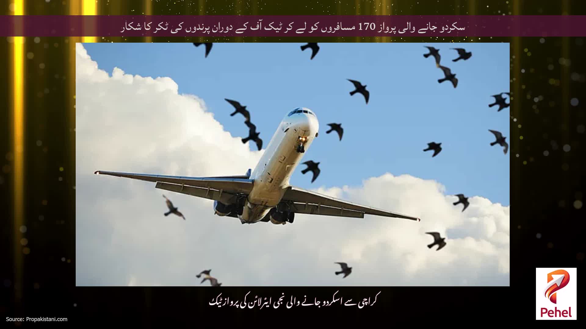 سکردو جانے والی پرواز 170 مسافروں کو لے کر ٹیک آف کے دوران پرندوں کی ٹکر کا شکار