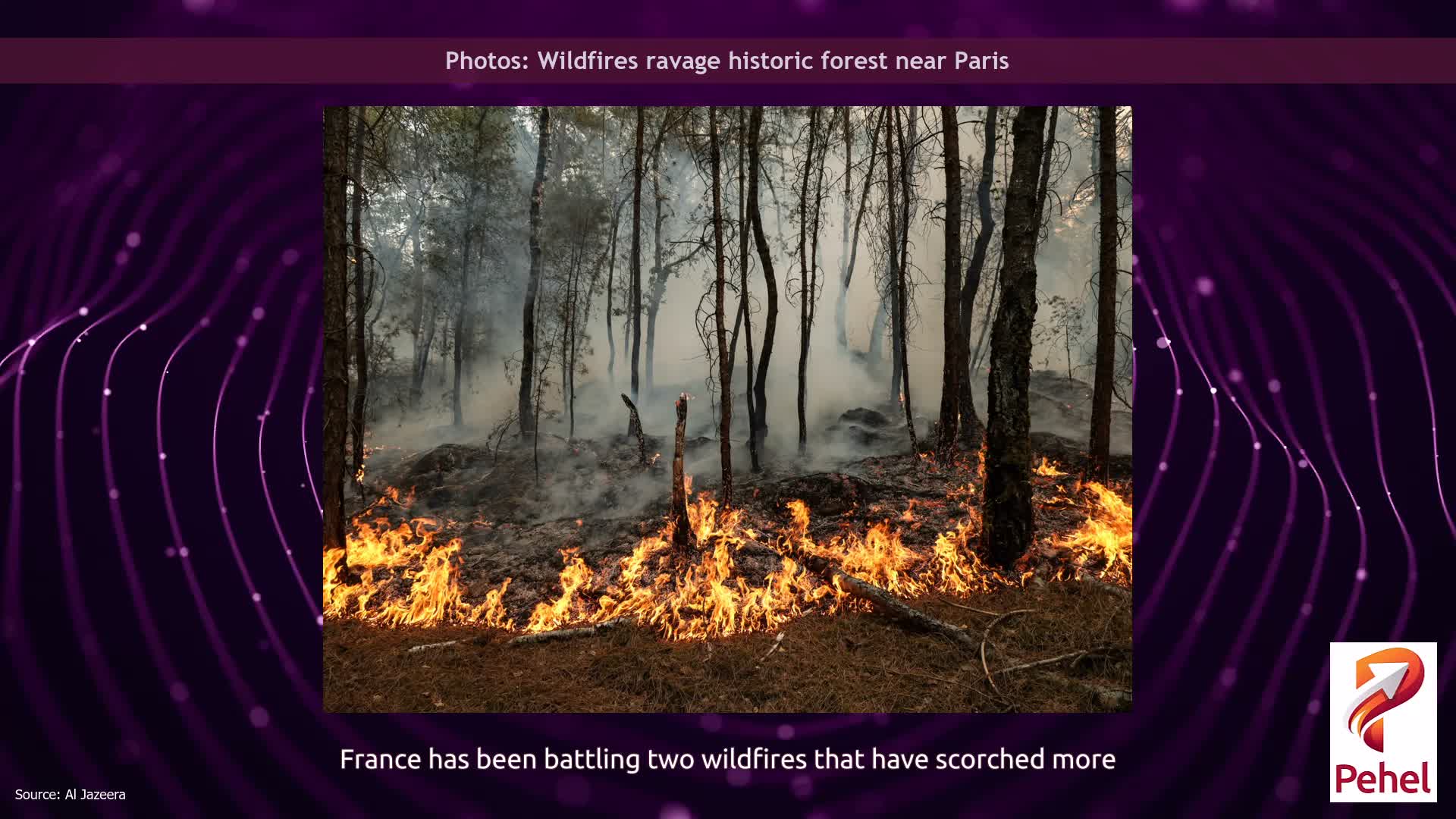 Photos: Wildfires ravage historic forest near Paris