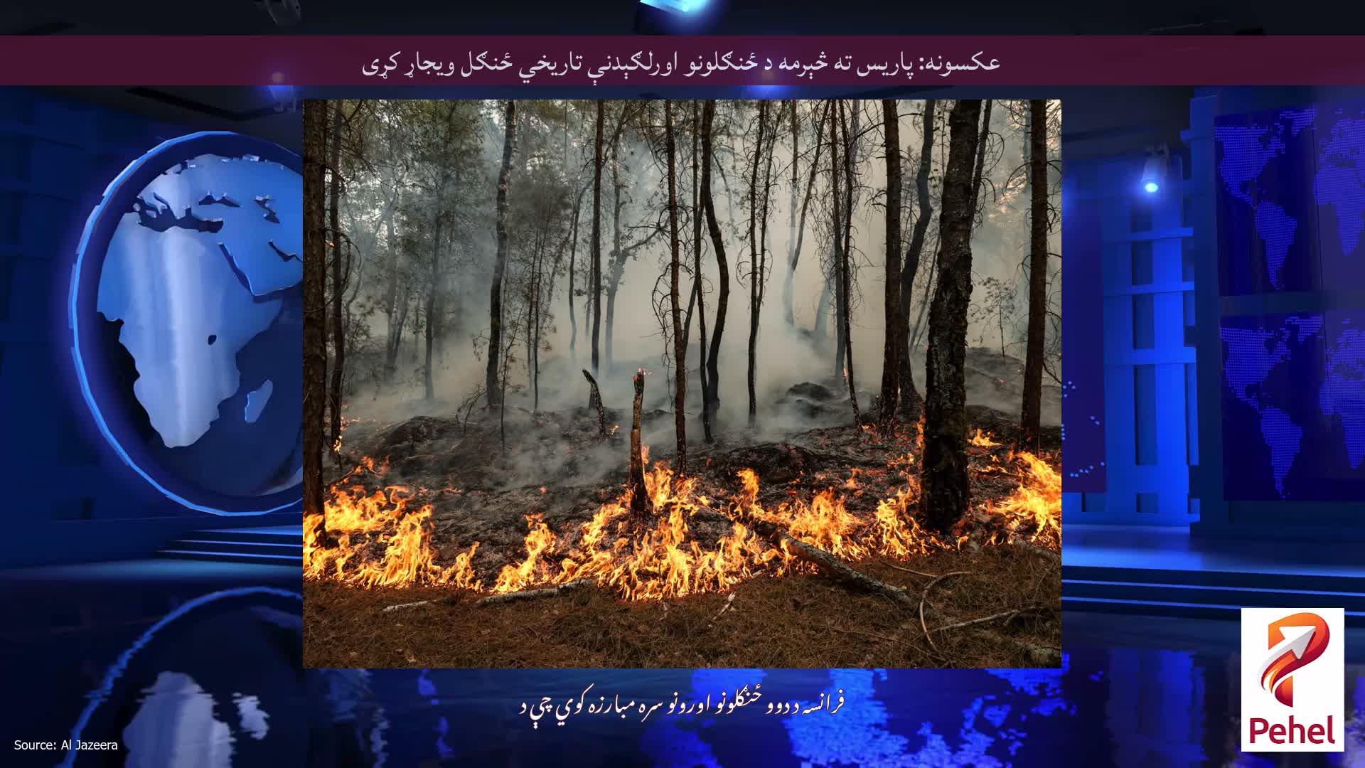 عکسونه: پاریس ته څېرمه د ځنګلونو اورلګېدنې تاریخي ځنګل ویجاړ کړی