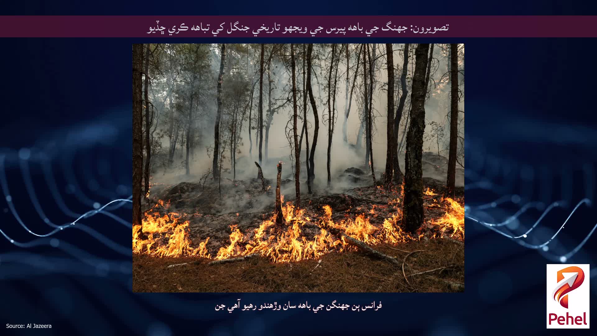 تصويرون: جهنگ جي باهه پيرس جي ويجهو تاريخي جنگل کي تباهه ڪري ڇڏيو