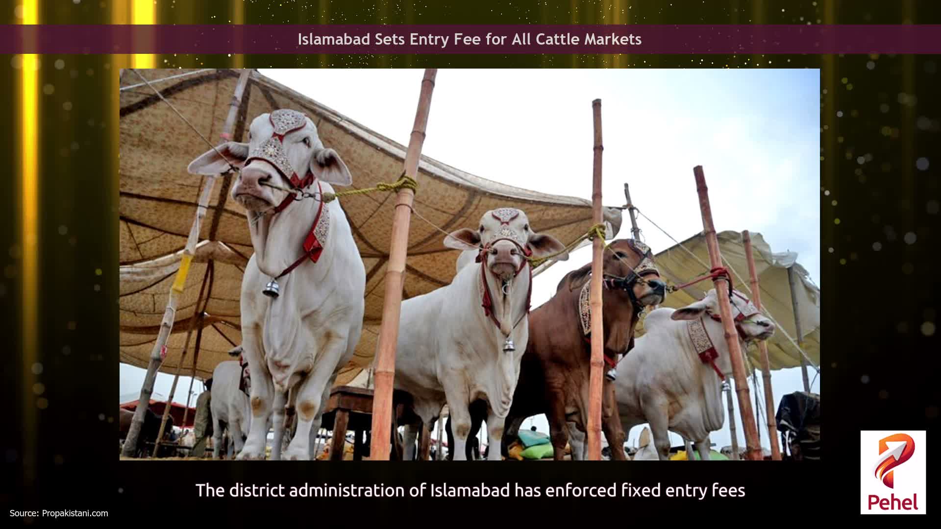 Islamabad Sets Entry Fee for All Cattle Markets
