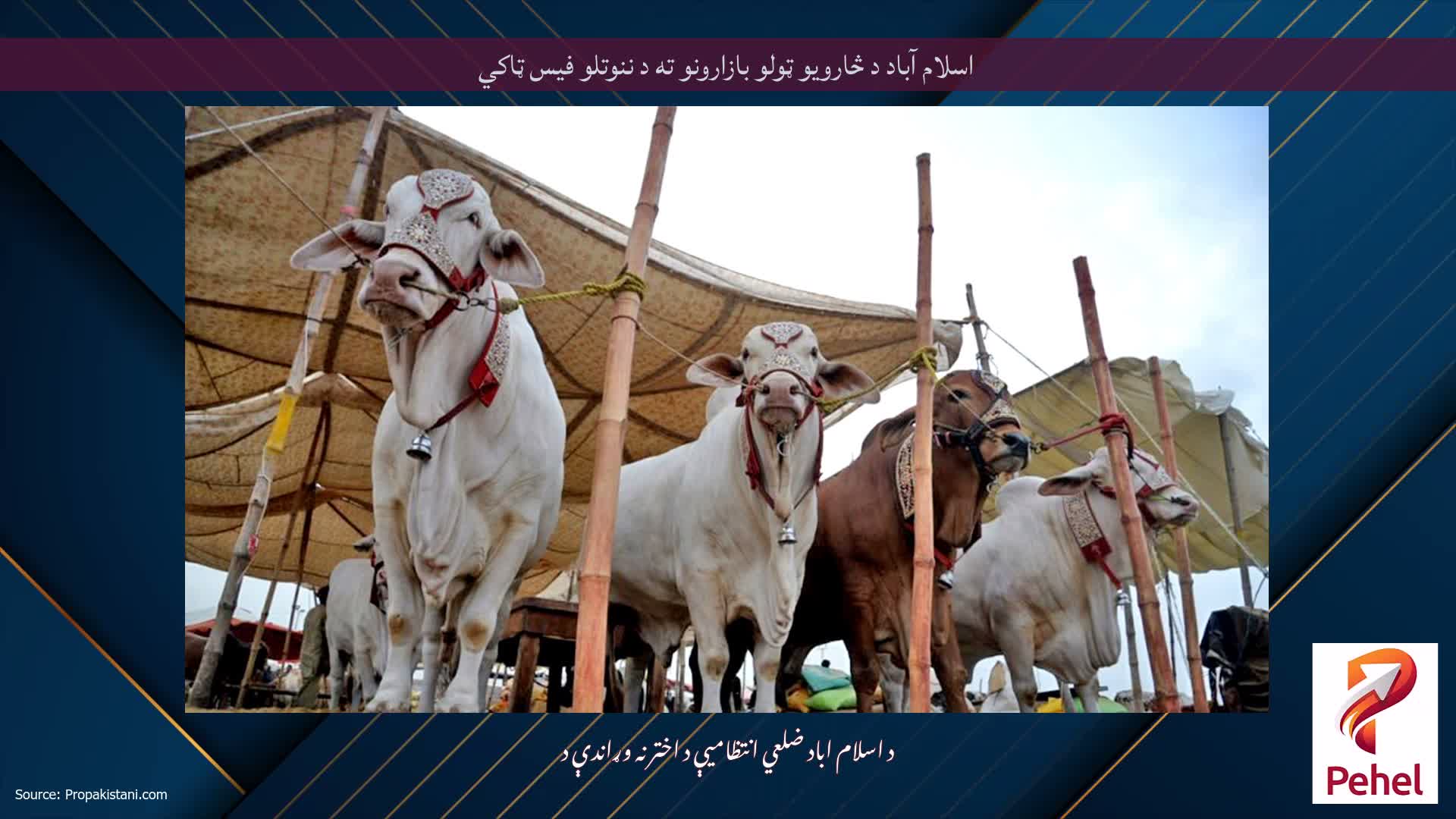 اسلام آباد د څارویو ټولو بازارونو ته د ننوتلو فیس ټاکي