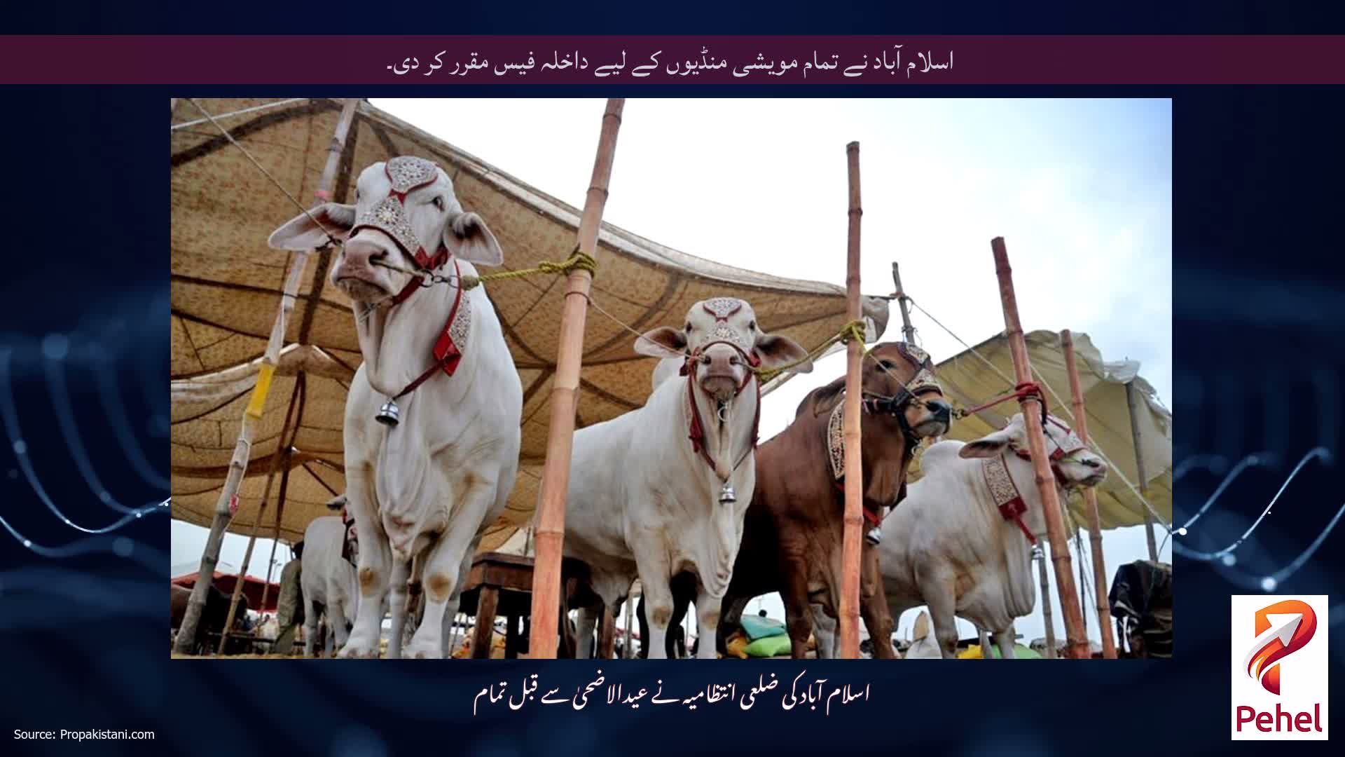 اسلام آباد نے تمام مویشی منڈیوں کے لیے داخلہ فیس مقرر کر دی۔