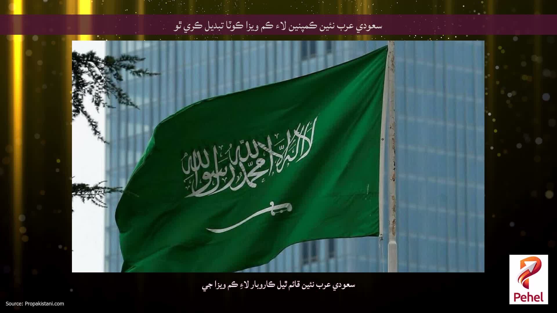 سعودي عرب نئين ڪمپنين لاء ڪم ويزا ڪوٽا تبديل ڪري ٿو