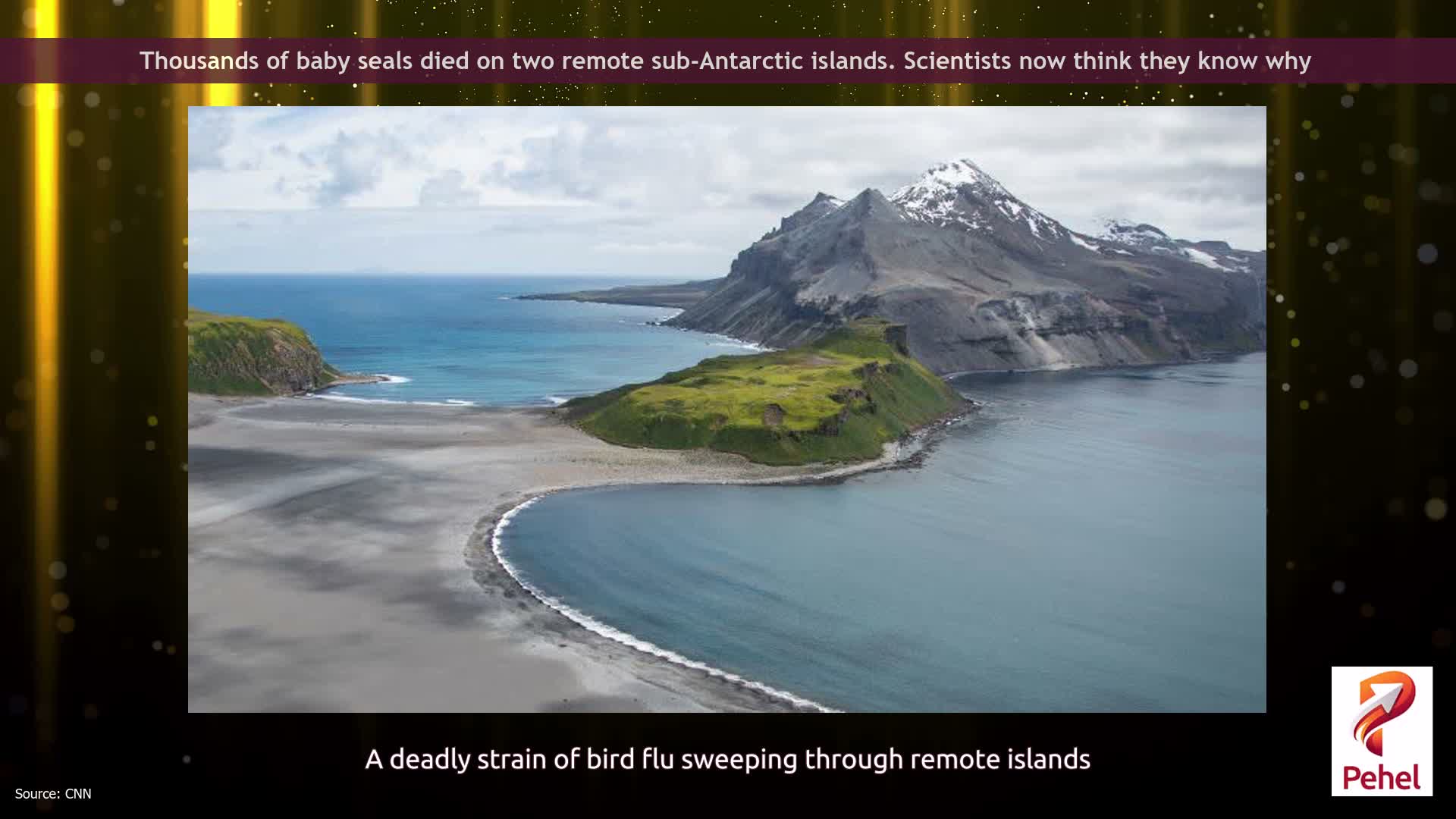 Thousands of baby seals died on two remote sub-Antarctic islands. Scientists now think they know why