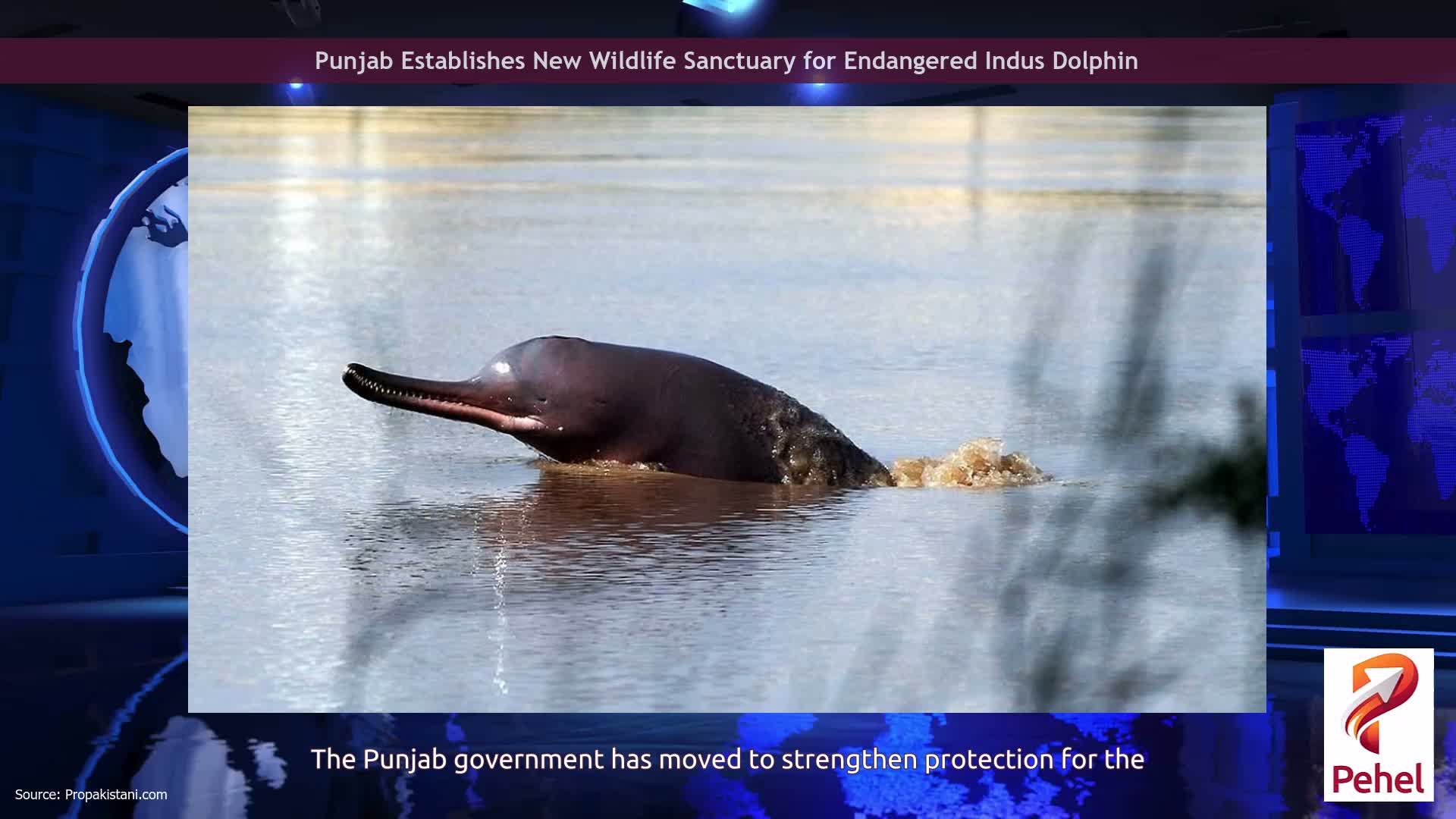 Punjab Establishes New Wildlife Sanctuary for Endangered Indus Dolphin