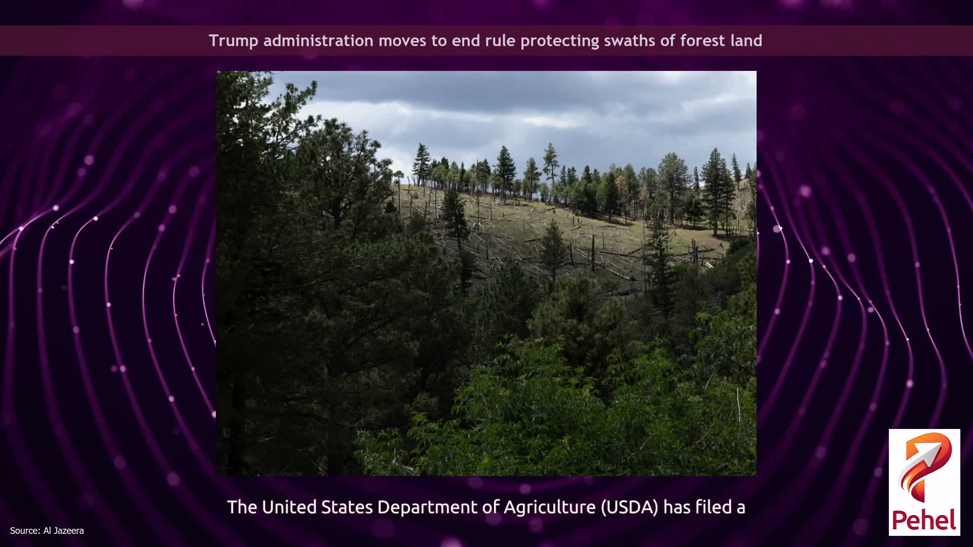 Trump administration moves to end rule protecting swaths of forest land
