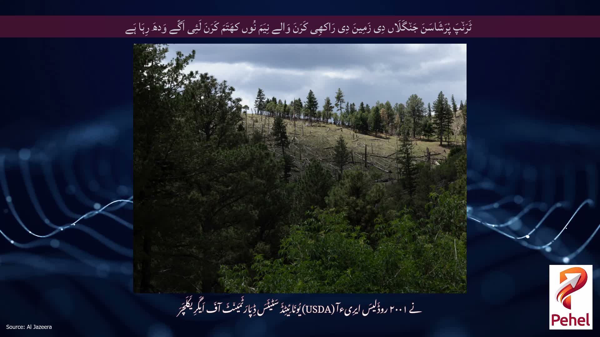 ٹَرَن٘پَ پْرَشَاسَنَ جَن٘گَلَاں دِی زَمِینَ دِی رَاکھِی کَرَنَ وَالے نِیَمَ نُوں کھَتَمَ کَرَنَ لَئِی اَگّے وَدھَ رِہَا ہَے