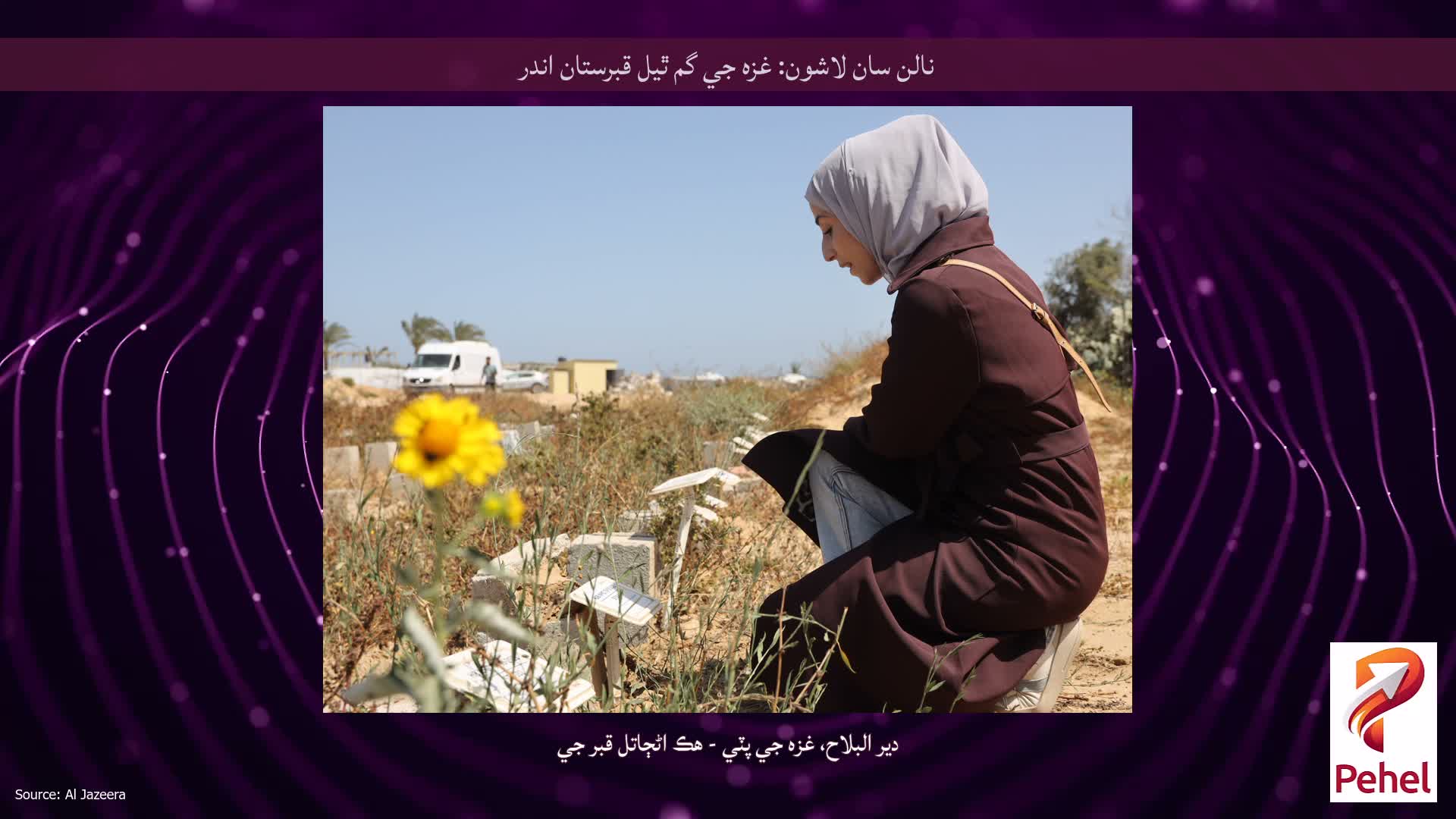 نالن سان لاشون: غزه جي گم ٿيل قبرستان اندر