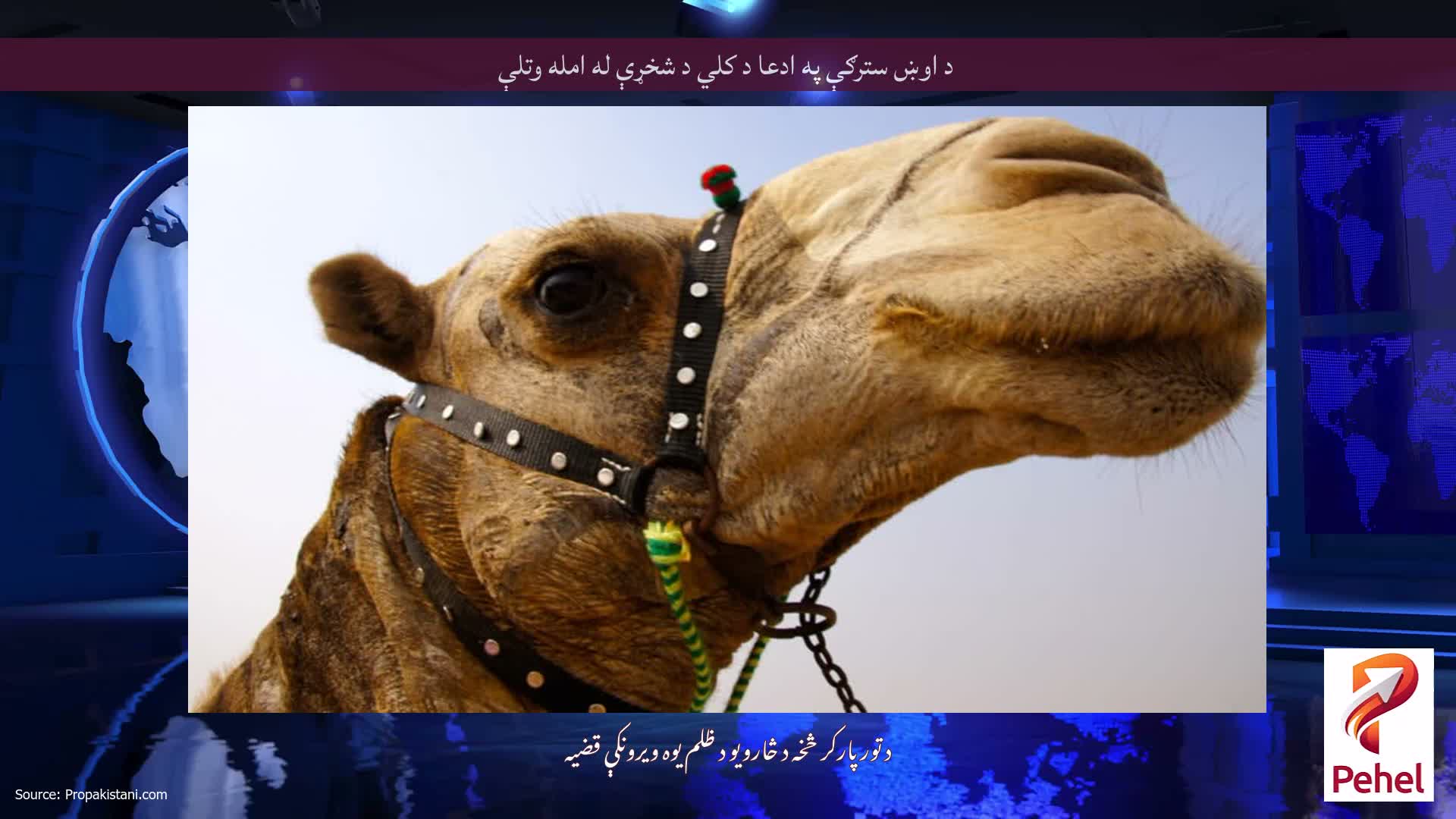 د اوښ سترګې په ادعا د کلي د شخړې له امله وتلې