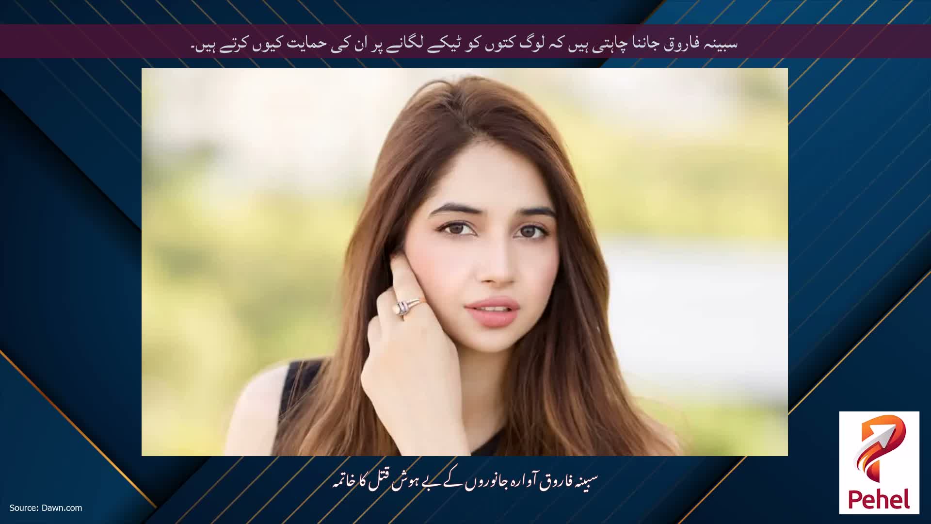 سبینہ فاروق جاننا چاہتی ہیں کہ لوگ کتوں کو ٹیکے لگانے پر ان کی حمایت کیوں کرتے ہیں۔