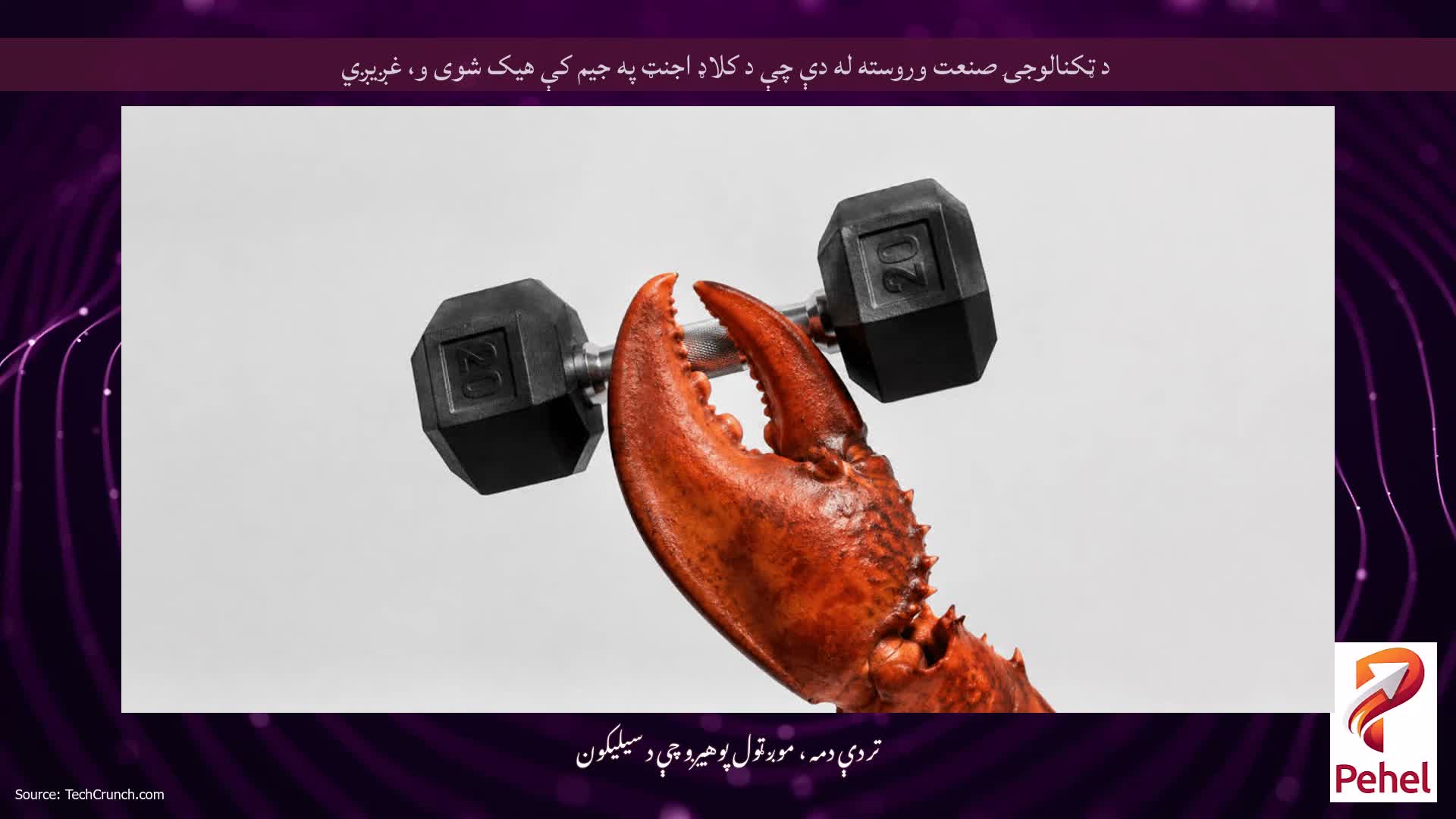 د ټکنالوجۍ صنعت وروسته له دې چې د کلاډ اجنټ په جیم کې هیک شوی و، غږیږي