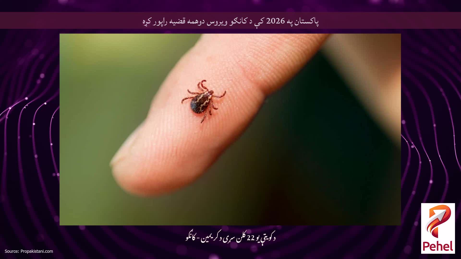 پاکستان په 2026 کې د کانګو ویروس دوهمه قضیه راپور کړه