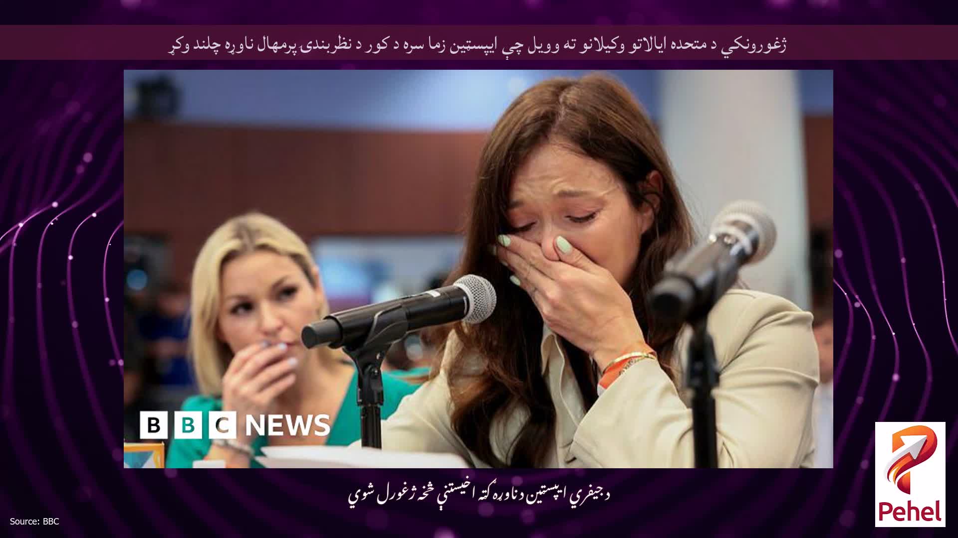 ژغورونکي د متحده ایالاتو وکیلانو ته وویل چې ایپسټین زما سره د کور د نظربندۍ پرمهال ناوړه چلند وکړ