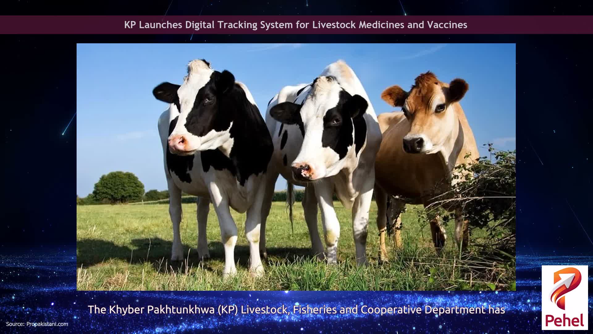 KP Launches Digital Tracking System for Livestock Medicines and Vaccines