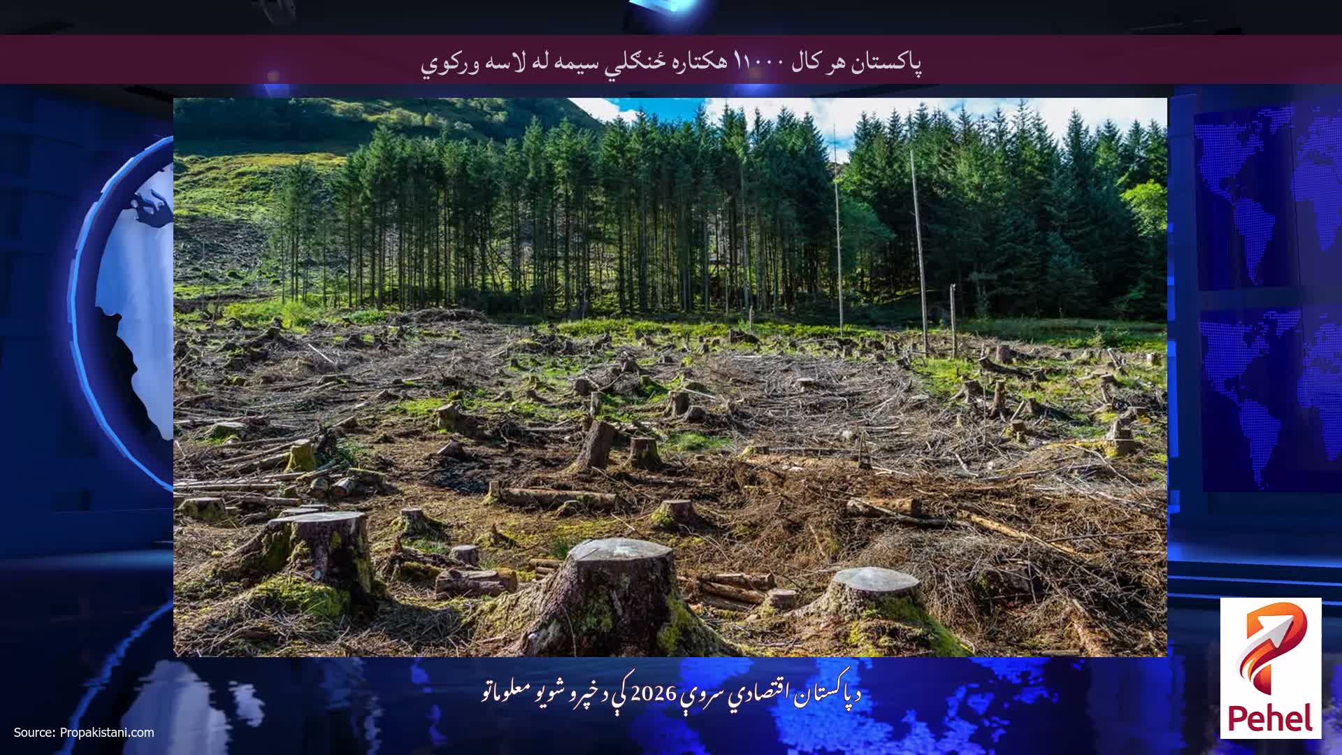 پاکستان هر کال ۱۱۰۰۰ هکتاره ځنګلي سیمه له لاسه ورکوي